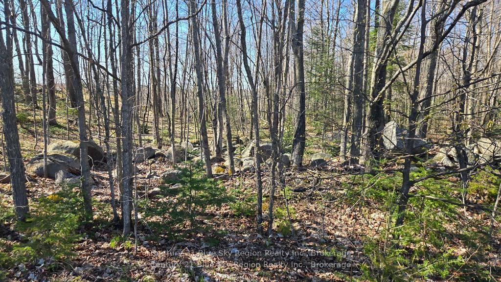 Pt Lt 33 Con 5 Hummel Line Property Photo 15