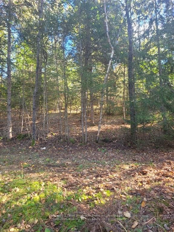 Pt Lt 33 Con 5 Hummel Line Property Photo 16