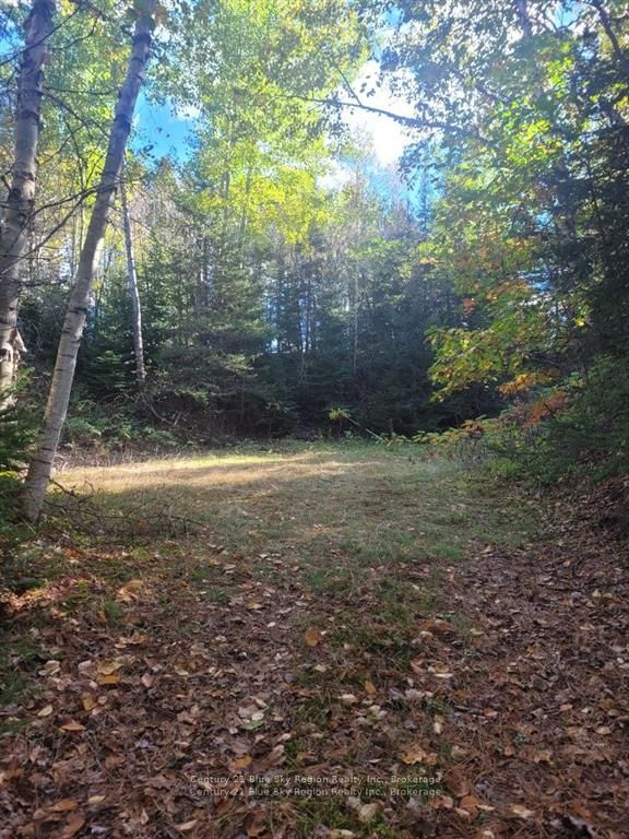 Pt Lt 33 Con 5 Hummel Line Property Photo 17