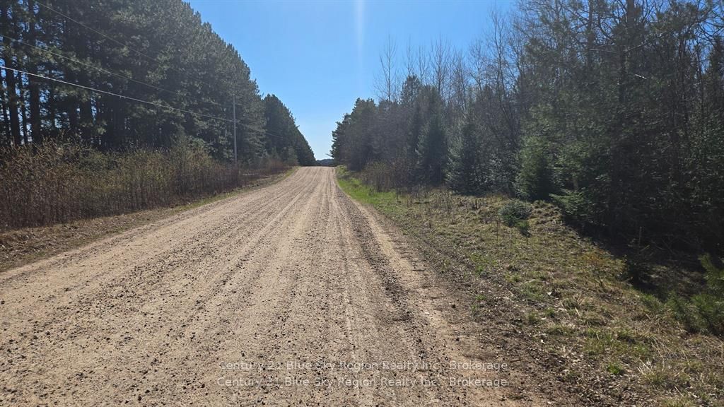 Pt Lt 33 Con 5 Hummel Line Property Photo 20