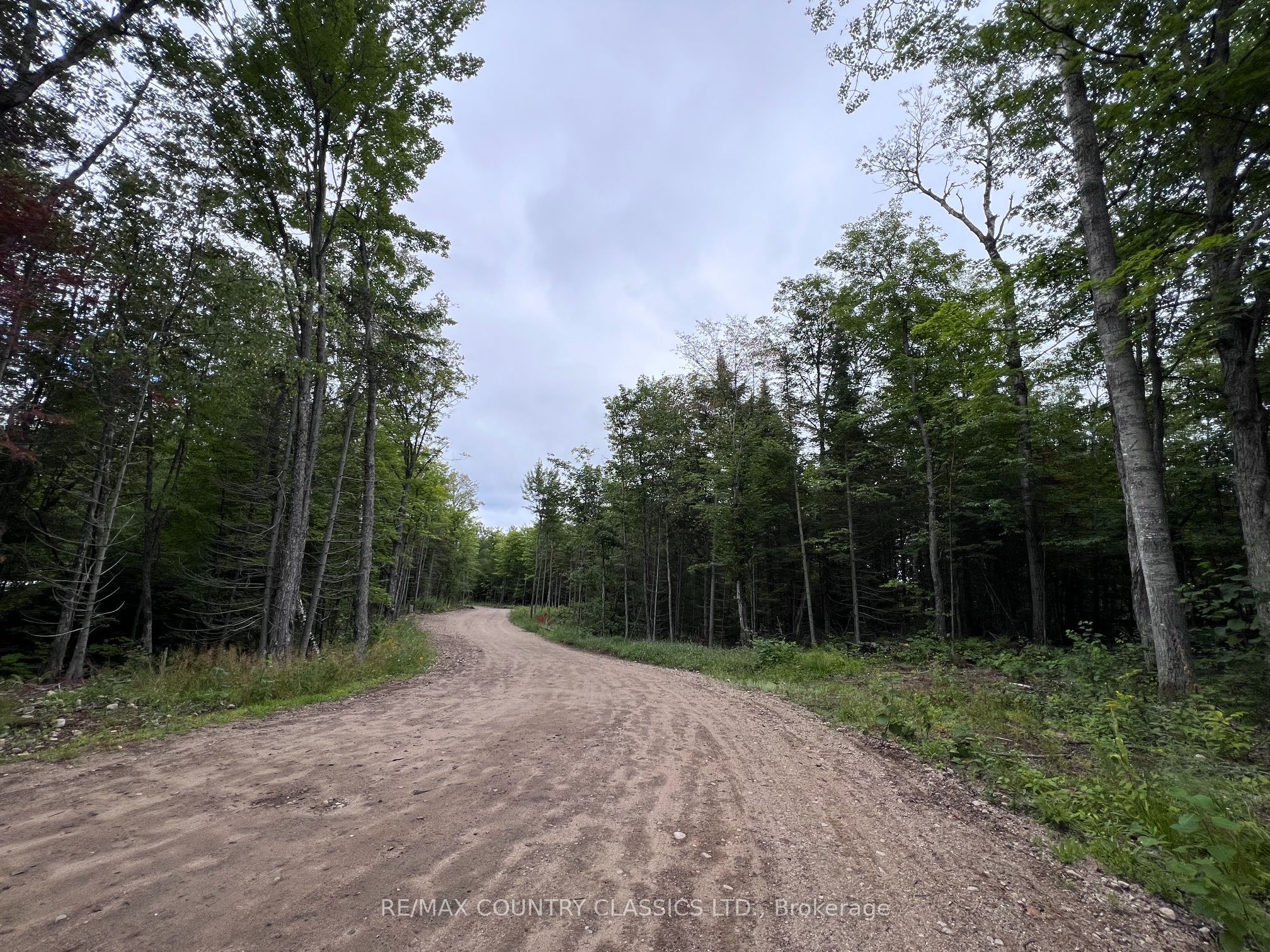 3952 Loop Road Property Photo 27