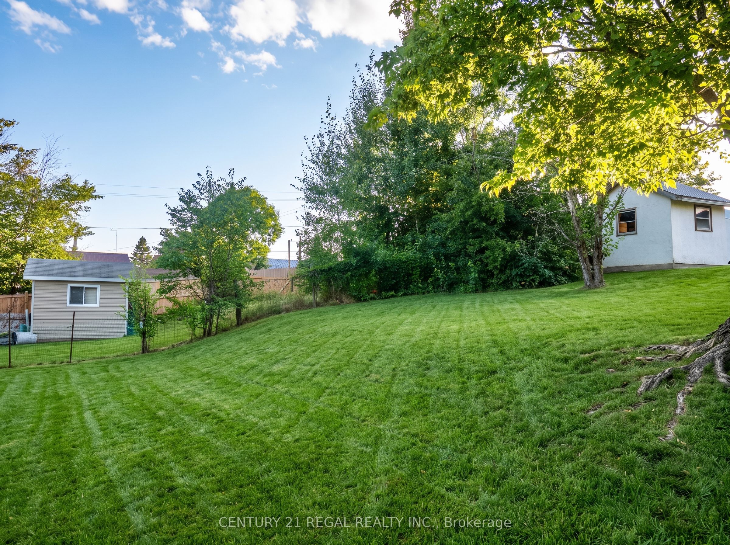 50 Beech Street Property Photo 25