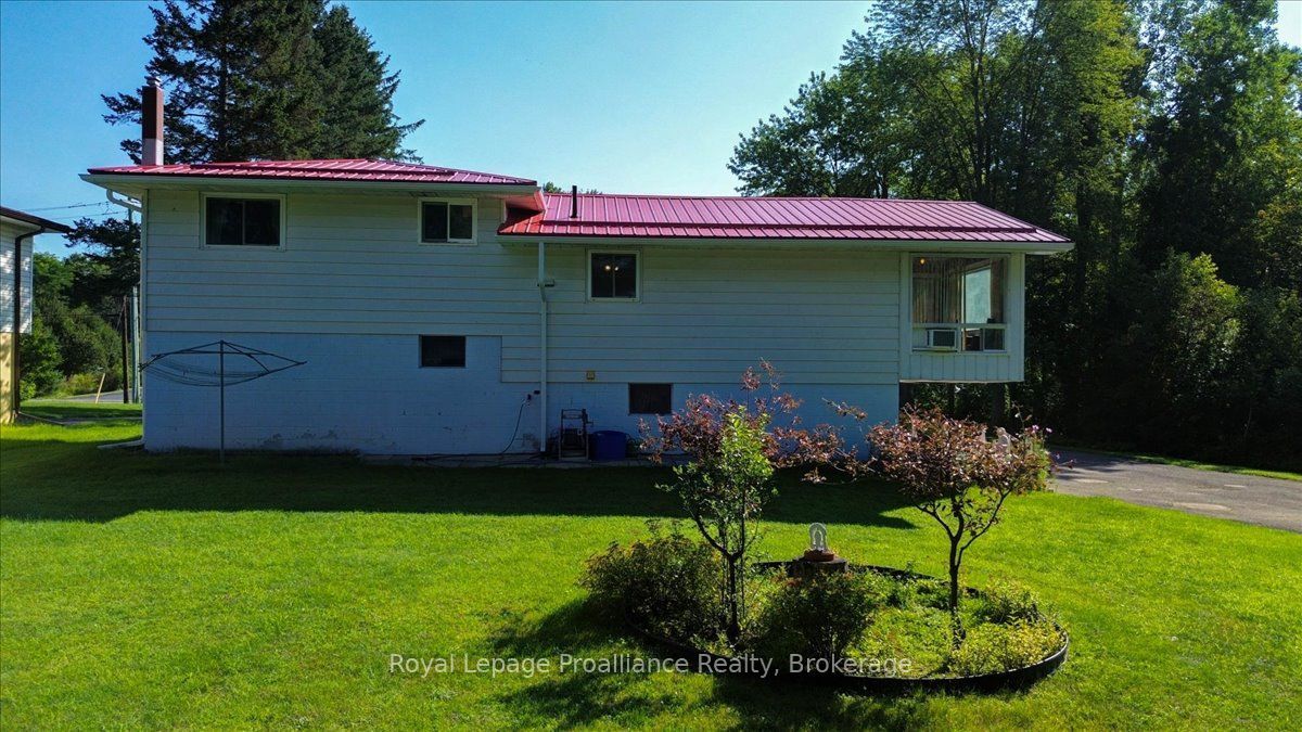 87 Cameron Street Property Photo 37