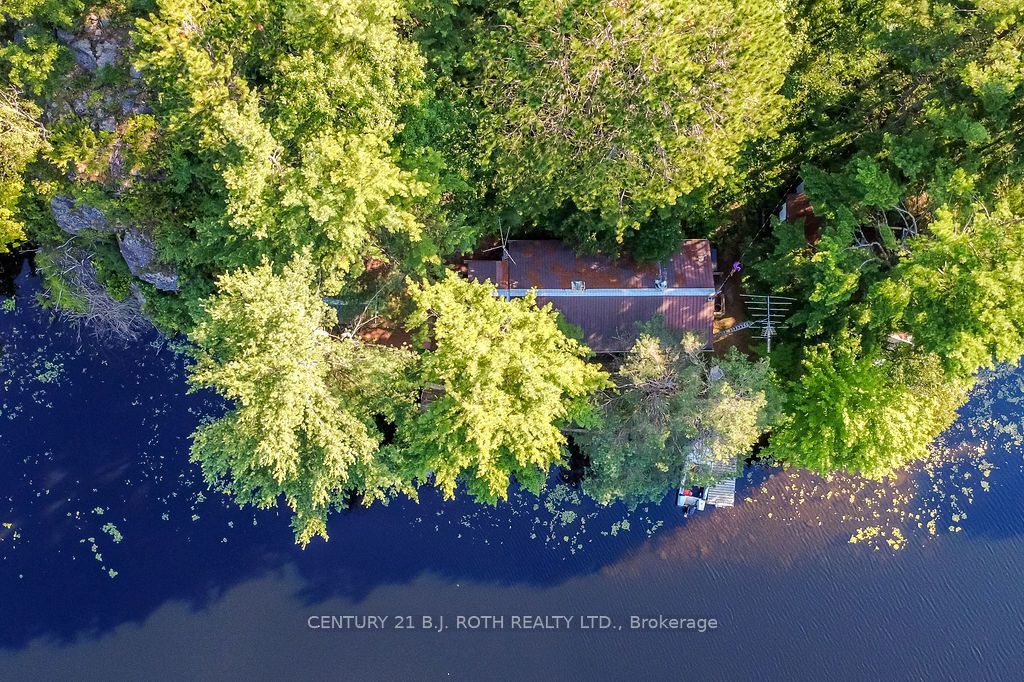 11107 Devils Lake Road Property Photo 8