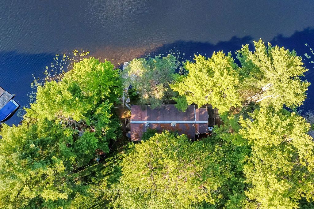 11107 Devils Lake Road Property Photo 28