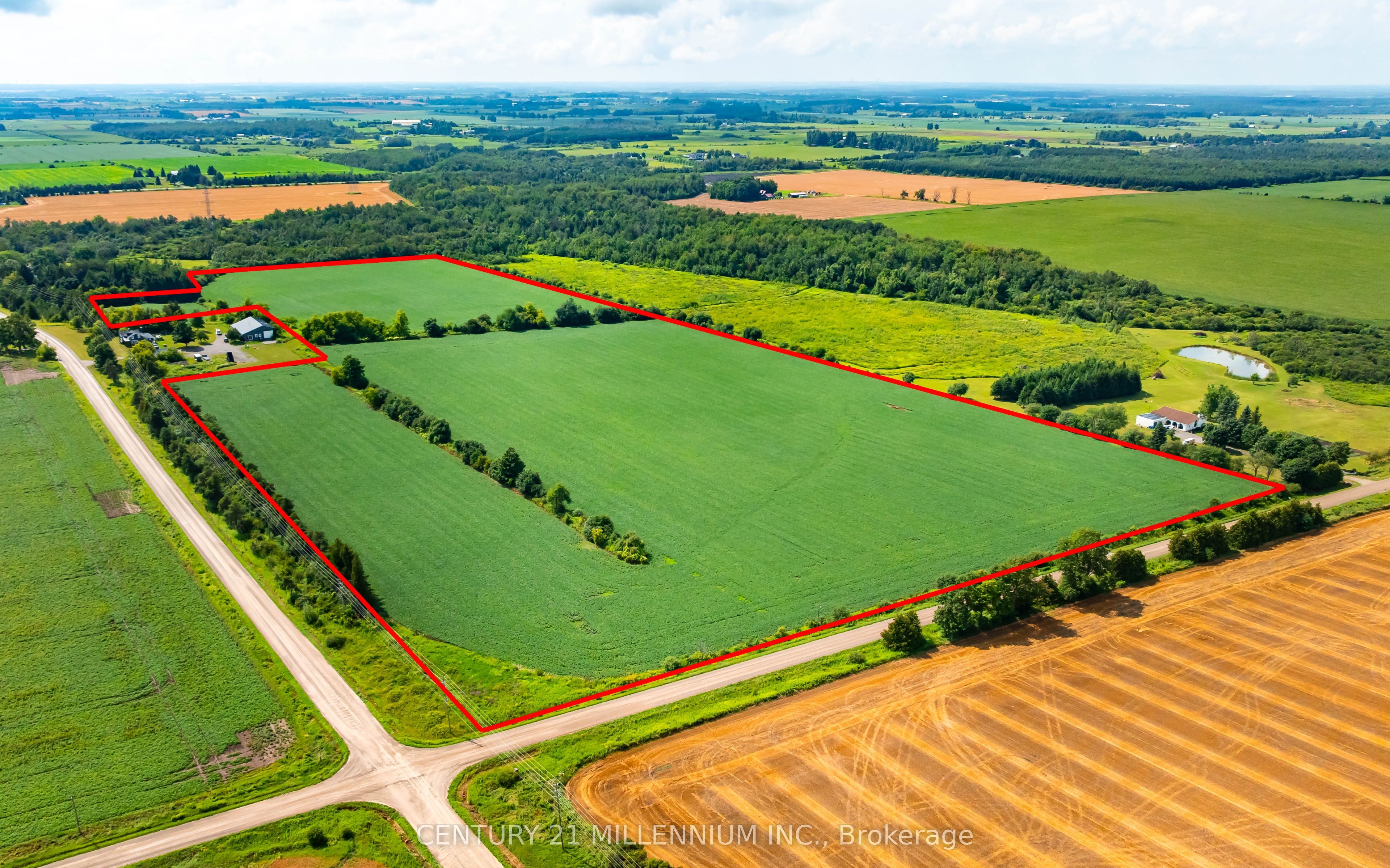 245097 5th Side Road Property Photo 3
