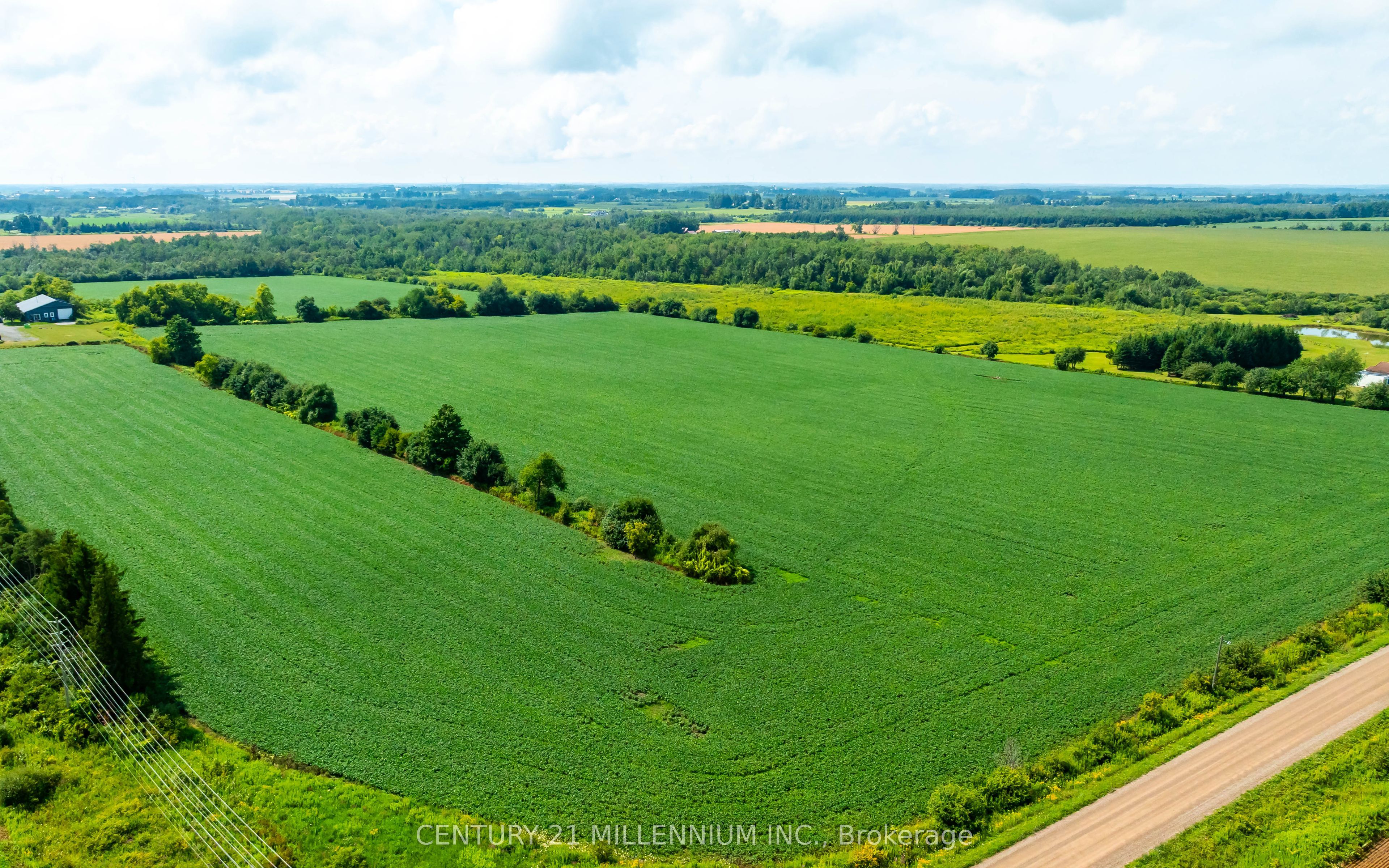 245097 5th Side Road Property Photo 9