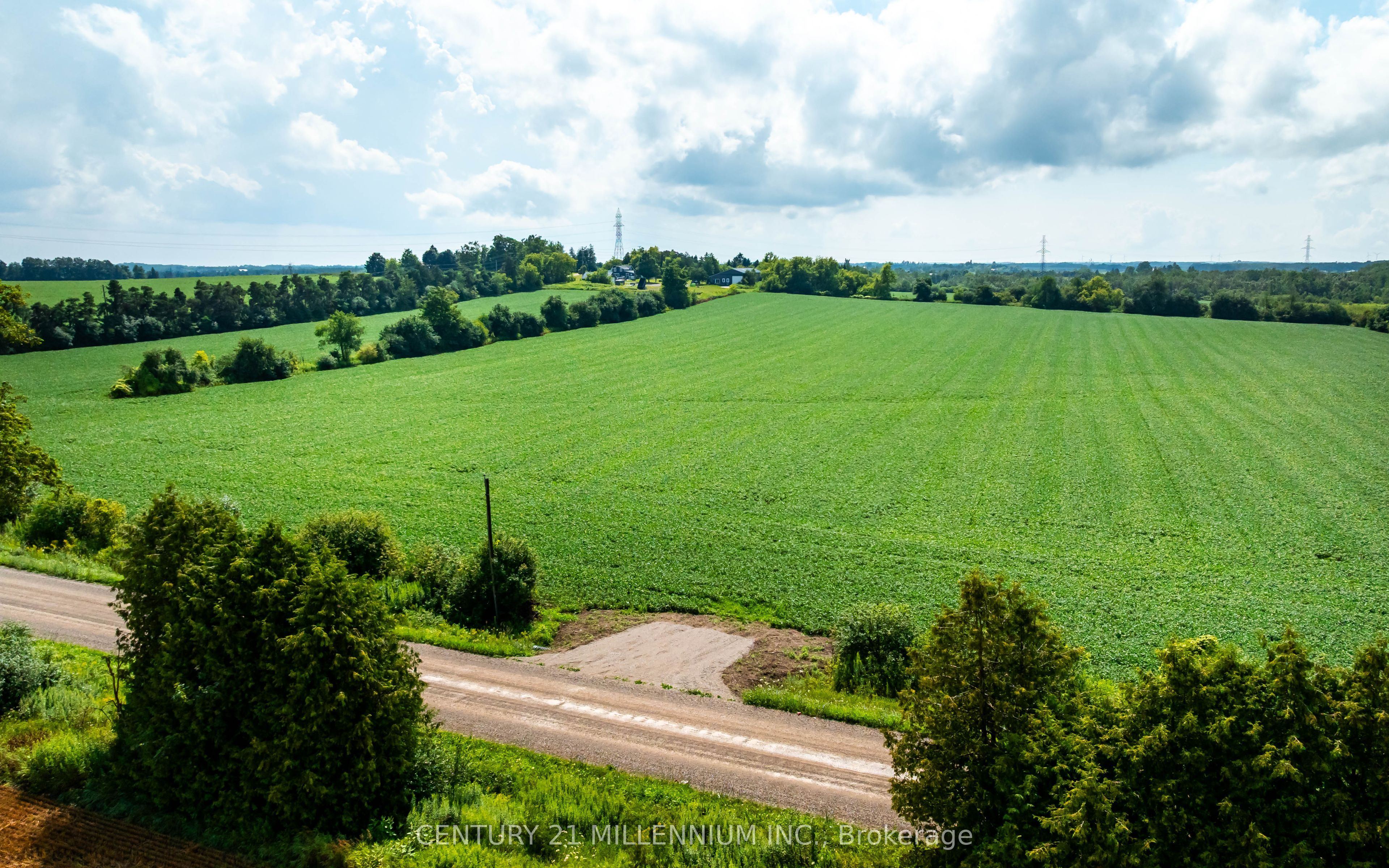 245097 5th Side Road Property Photo 10