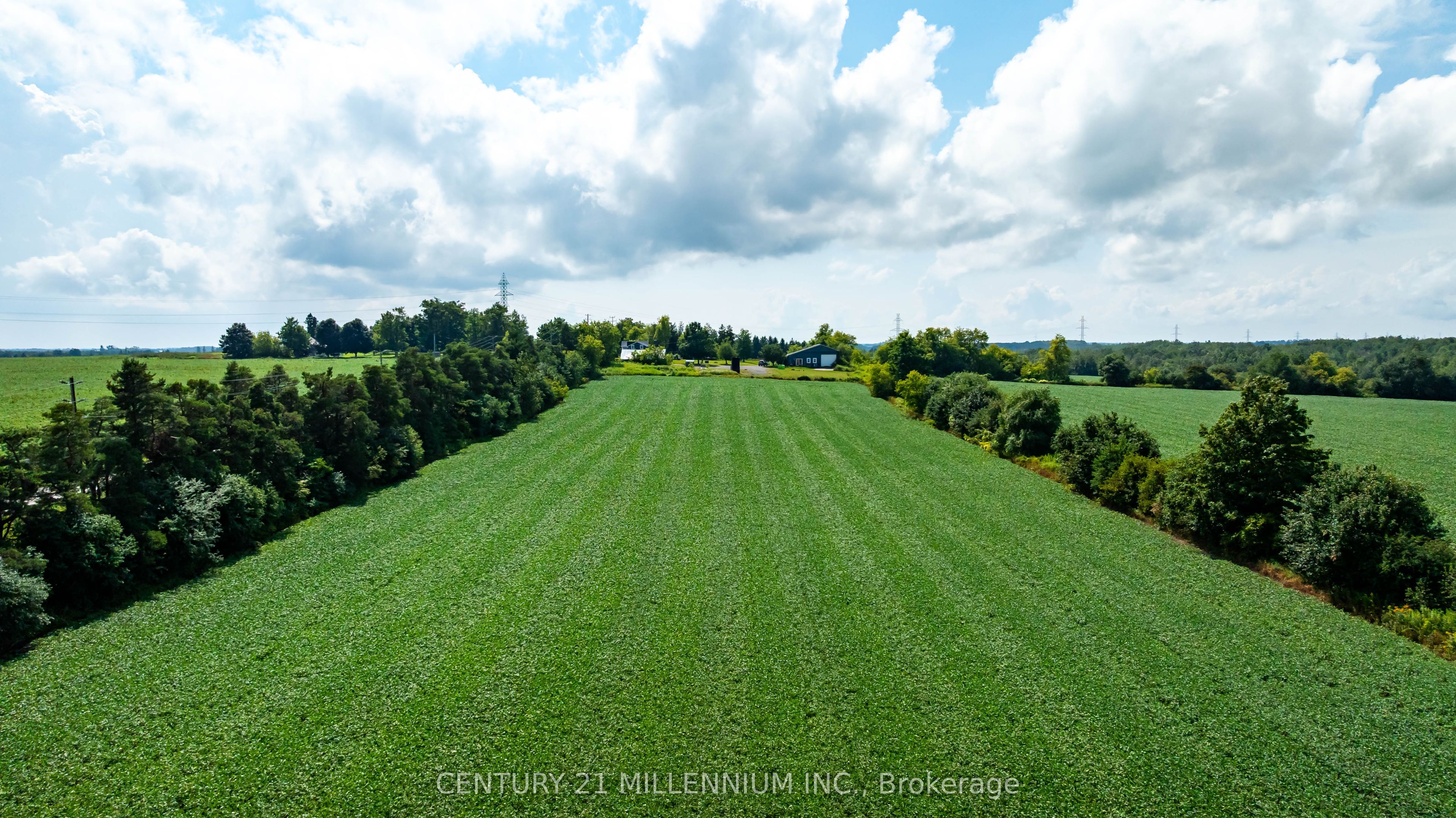 245097 5th Side Road Property Photo 12