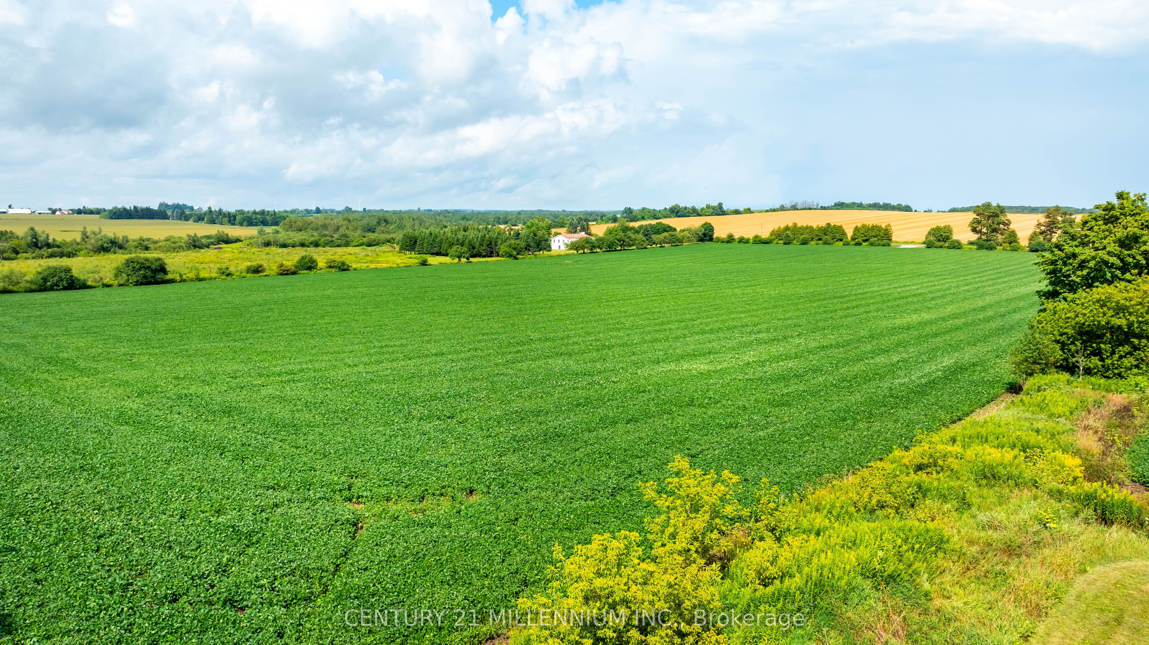 245097 5th Side Road Property Photo 13