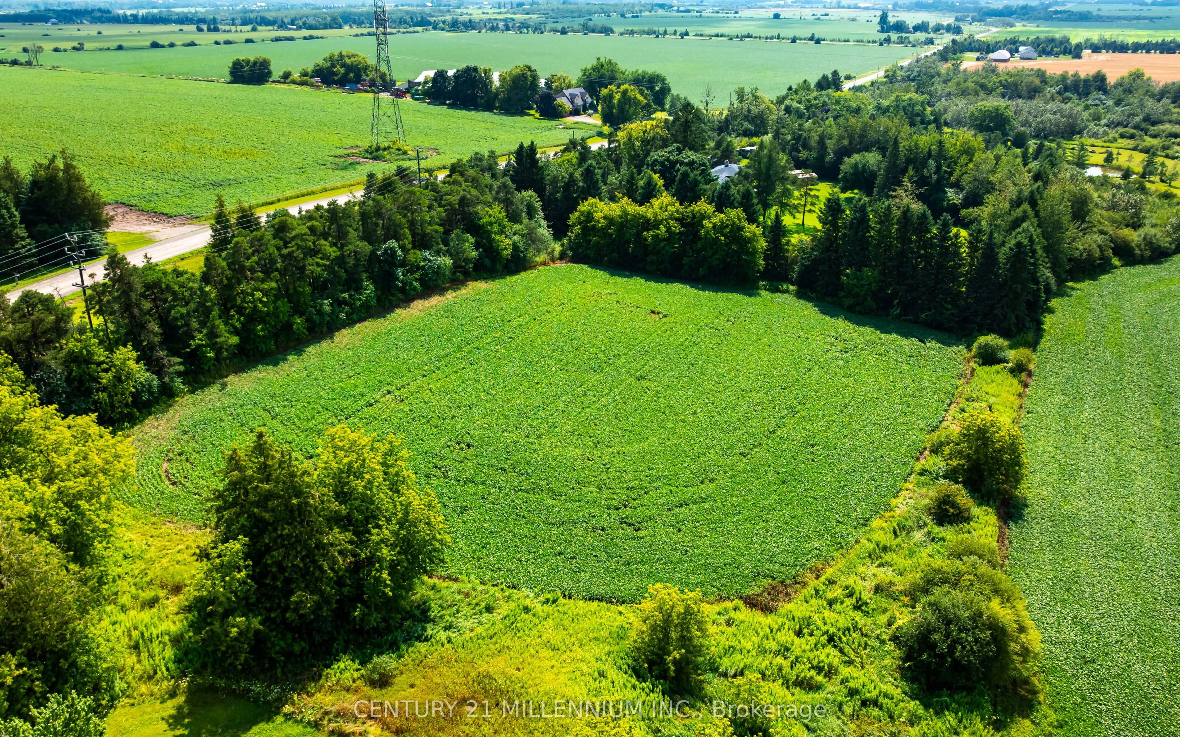 245097 5th Side Road Property Photo 15