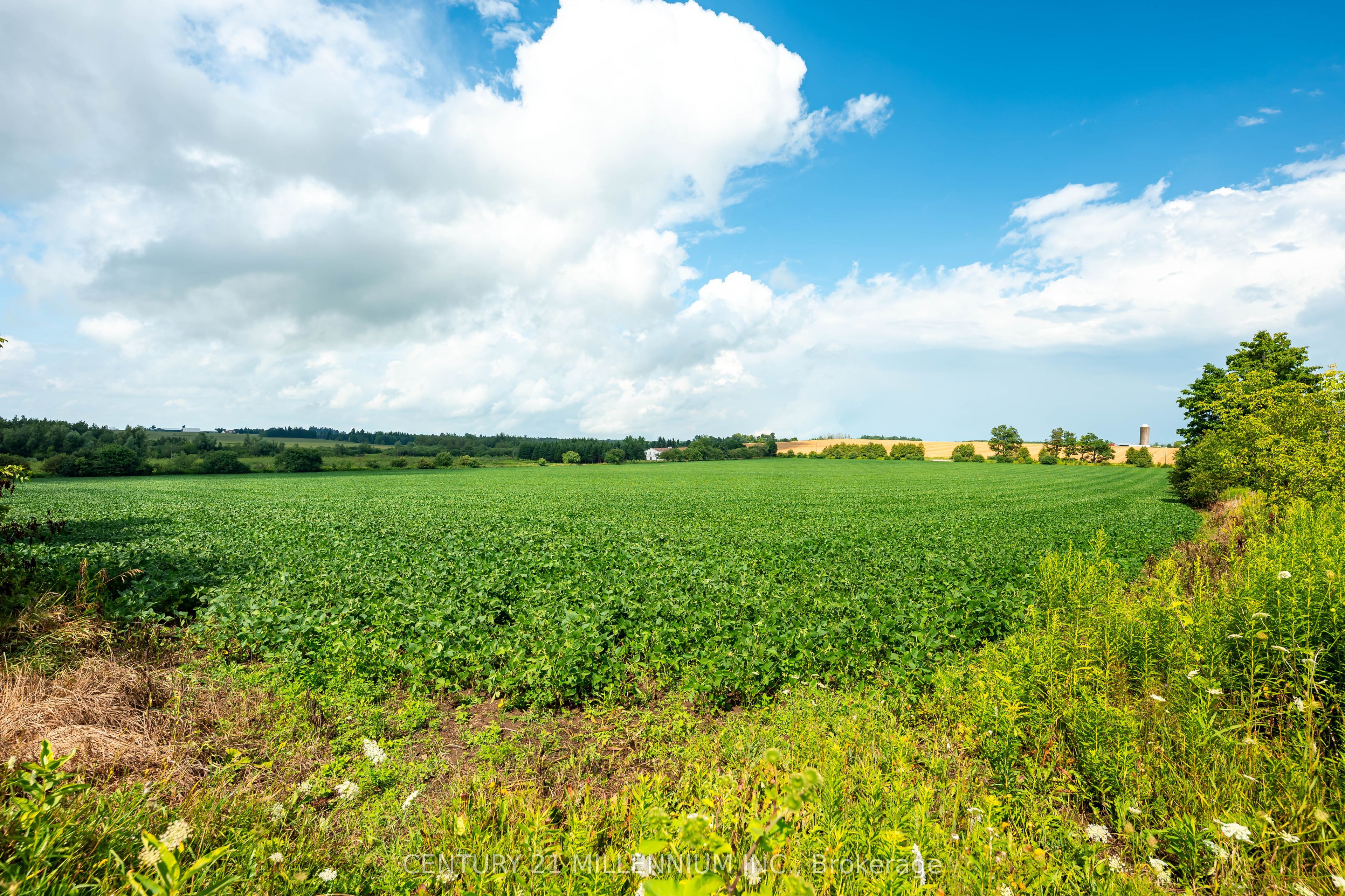 245097 5th Side Road Property Photo 16