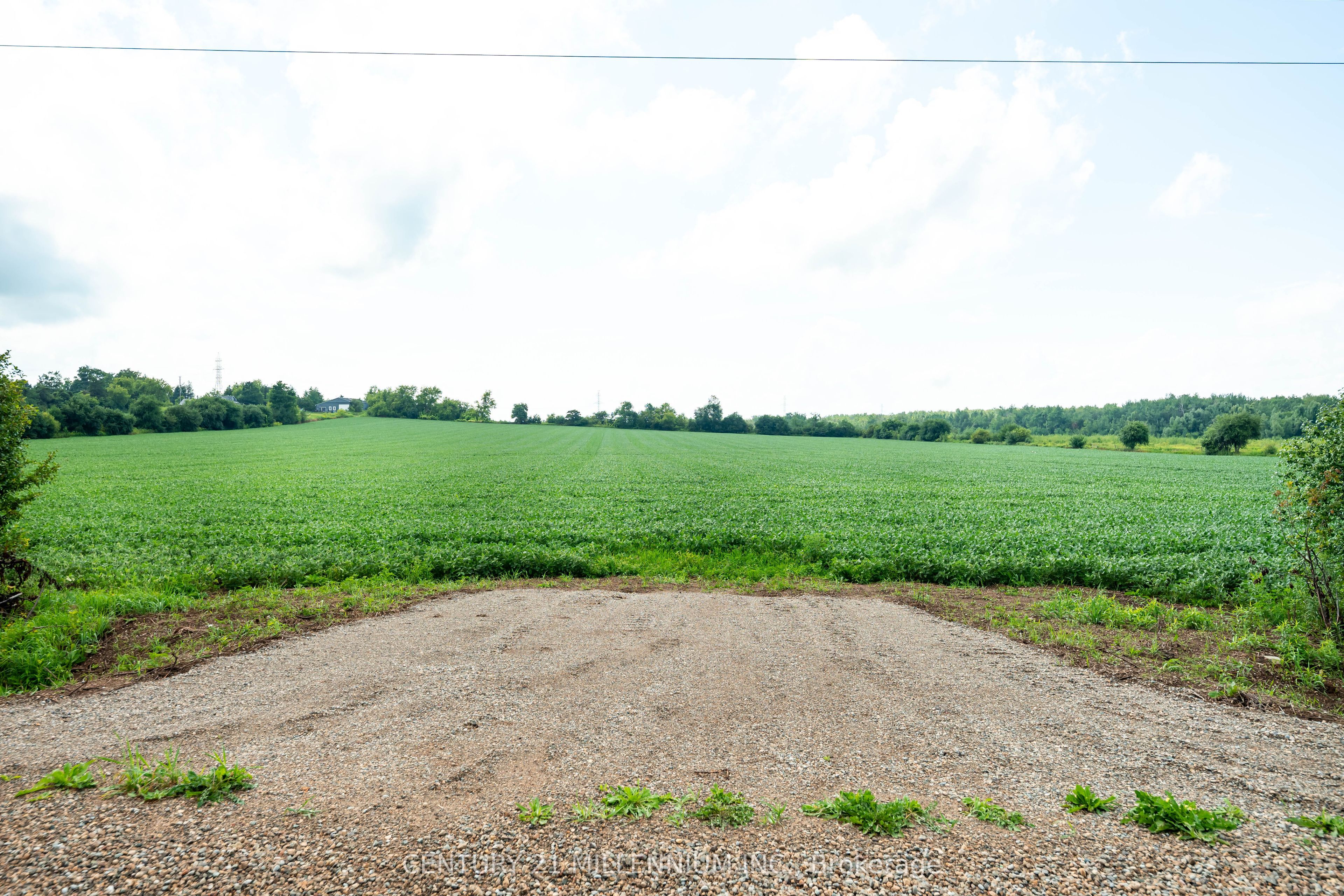 245097 5th Side Road Property Photo 20