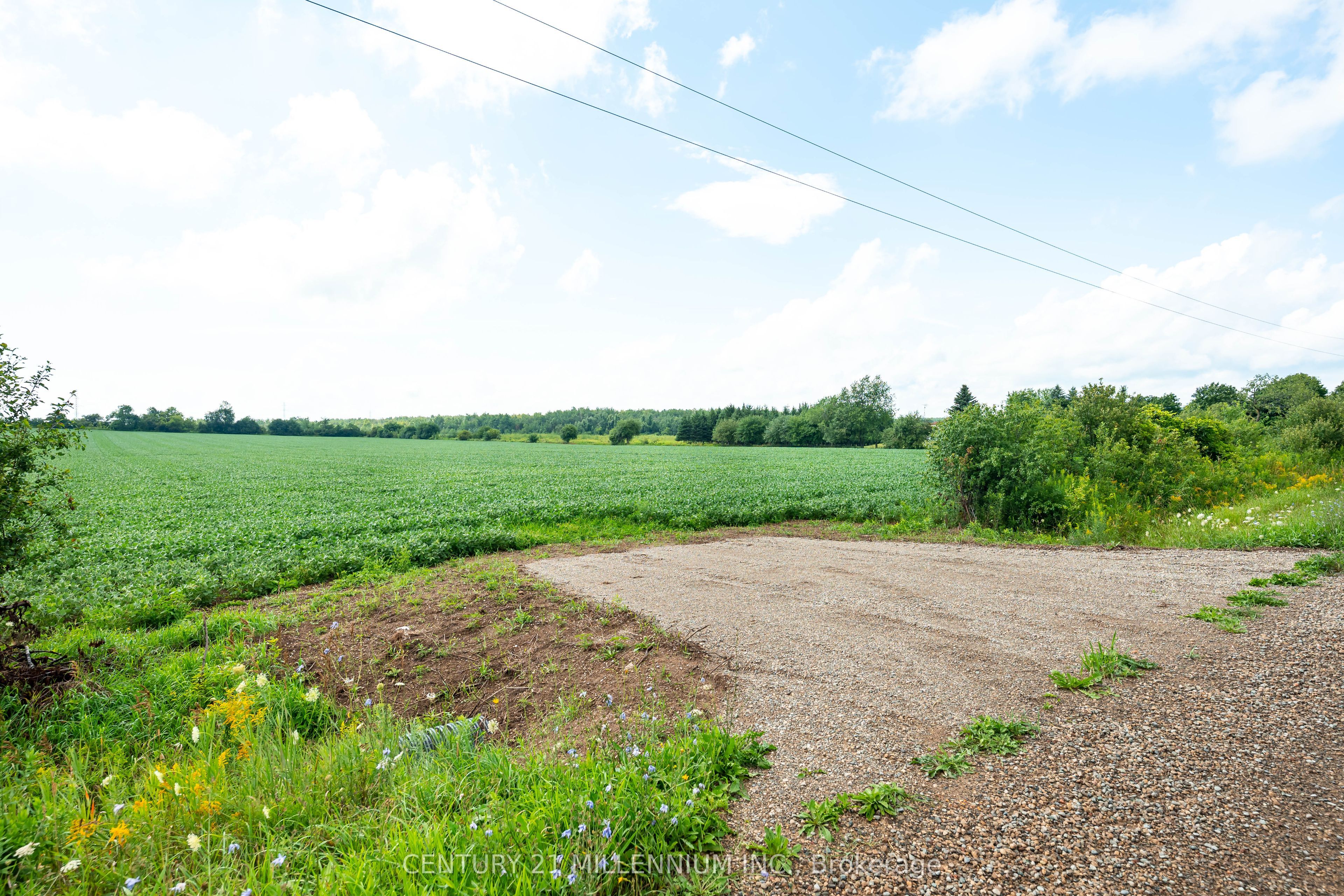 245097 5th Side Road Property Photo 21