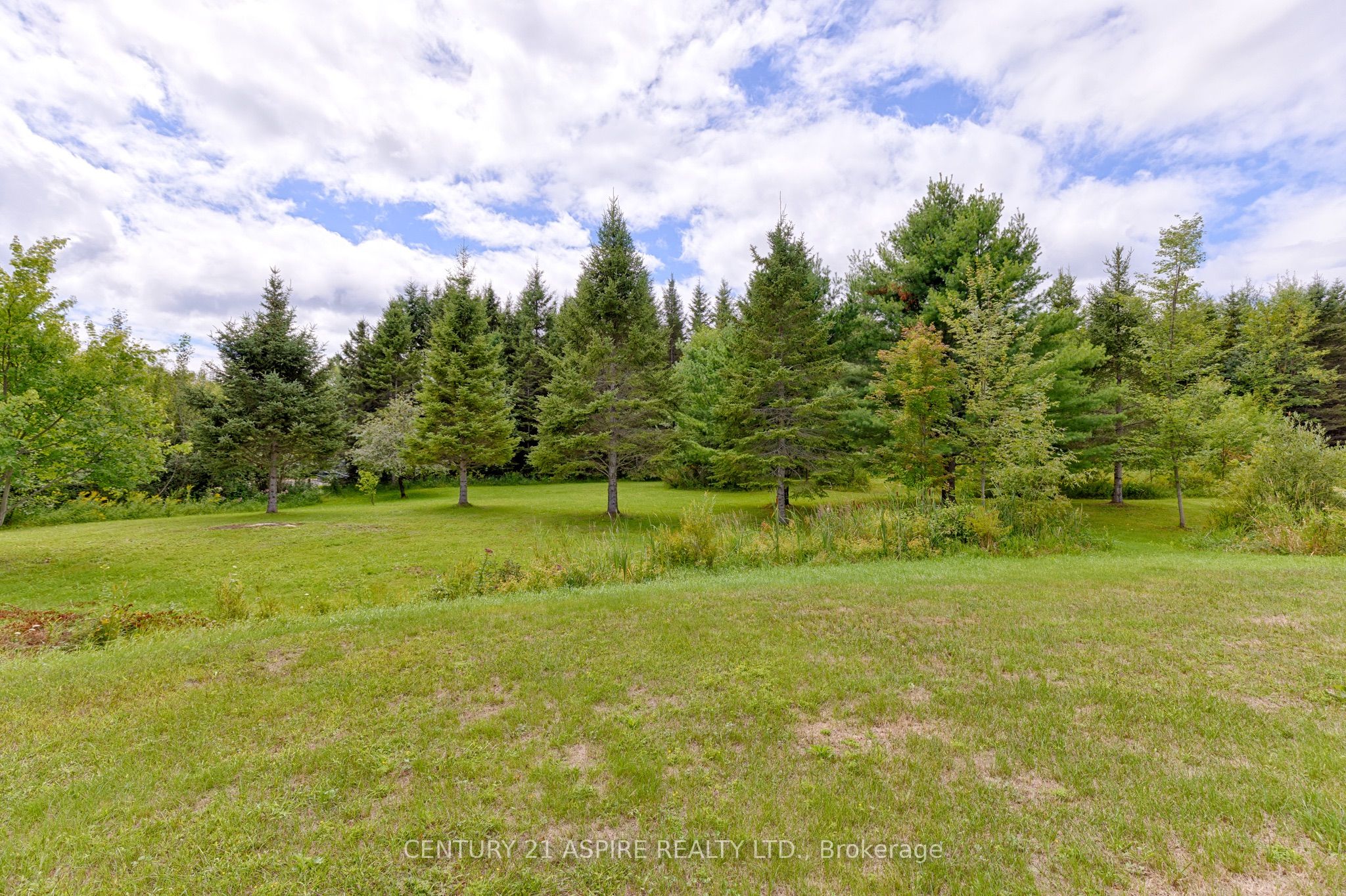 1549 Zion Line Property Photo 9