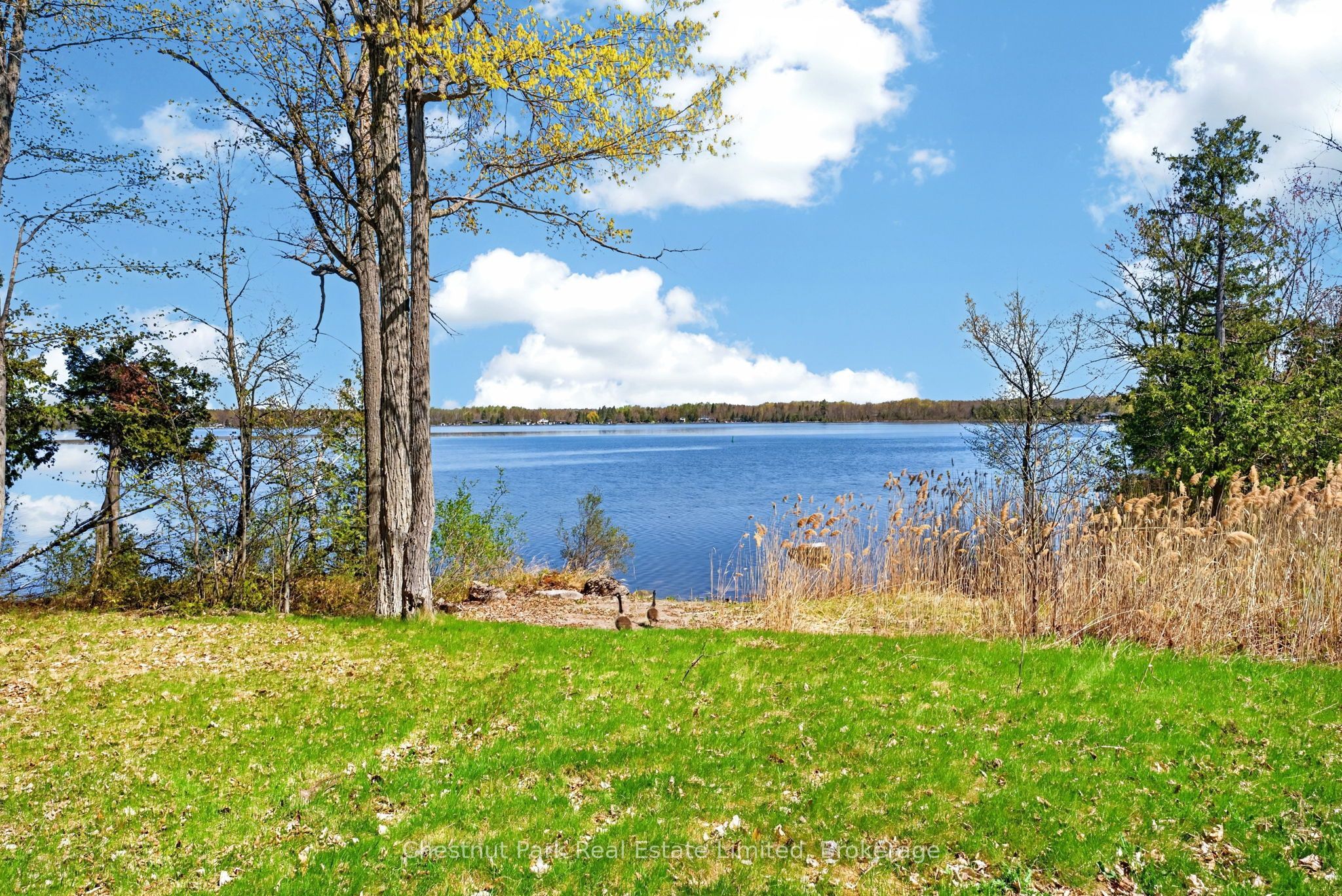 0 Nappan Island Road Property Photo 8