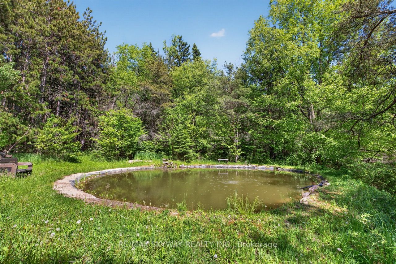 487151 30 Side Road Property Photo 39