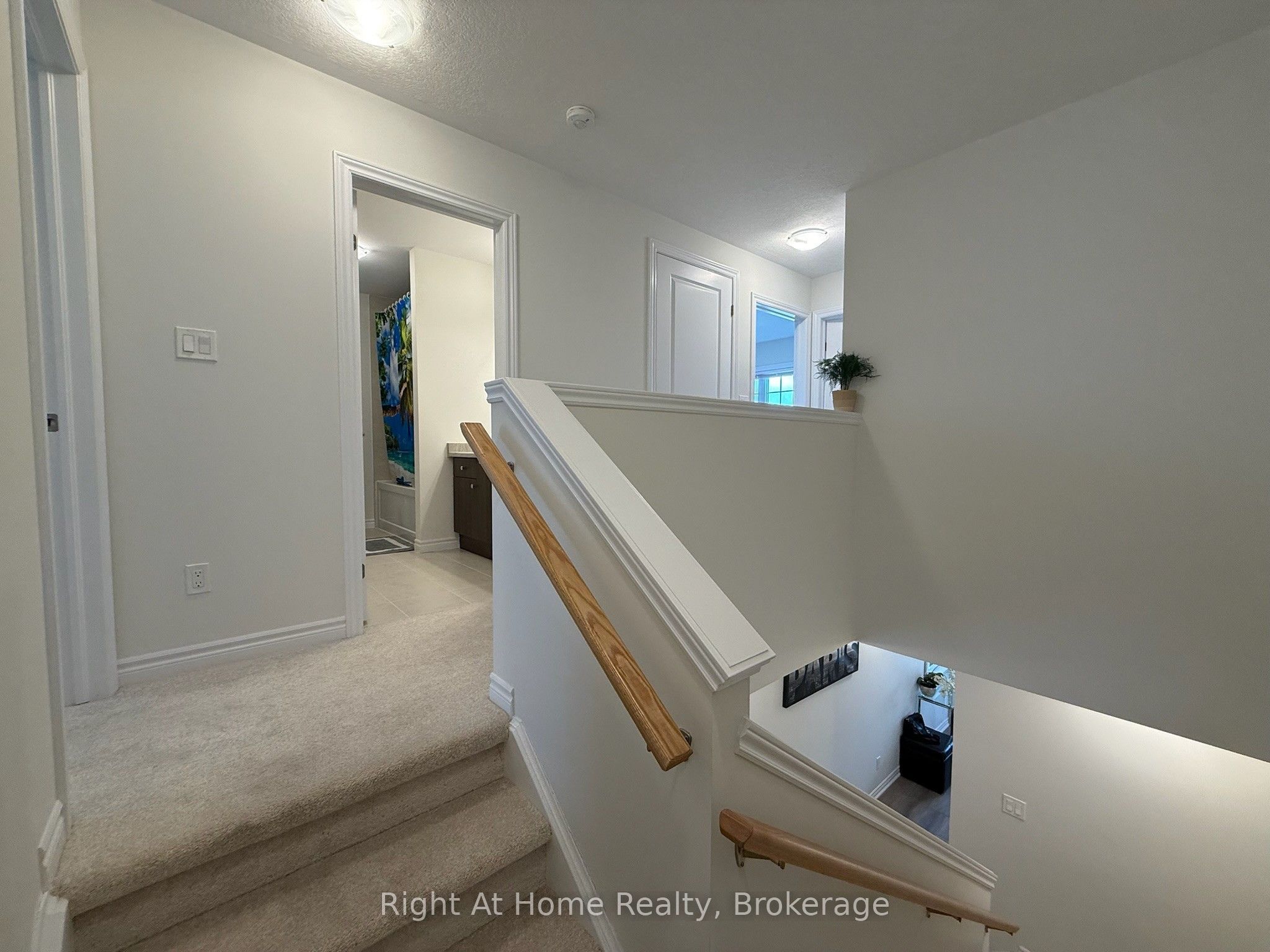 217 Benninger Drive Upper Property Photo 38