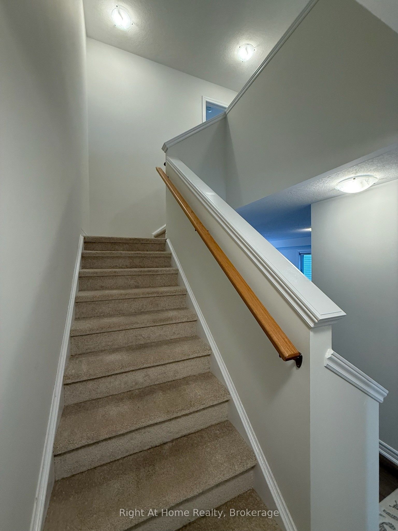 217 Benninger Drive Upper Property Photo 39