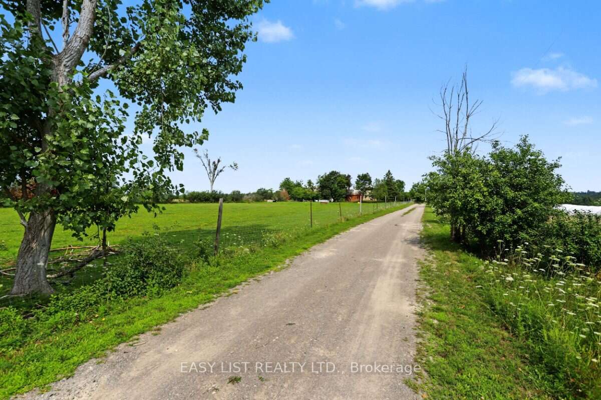 534 Cedar Glen Road Property Photo 6