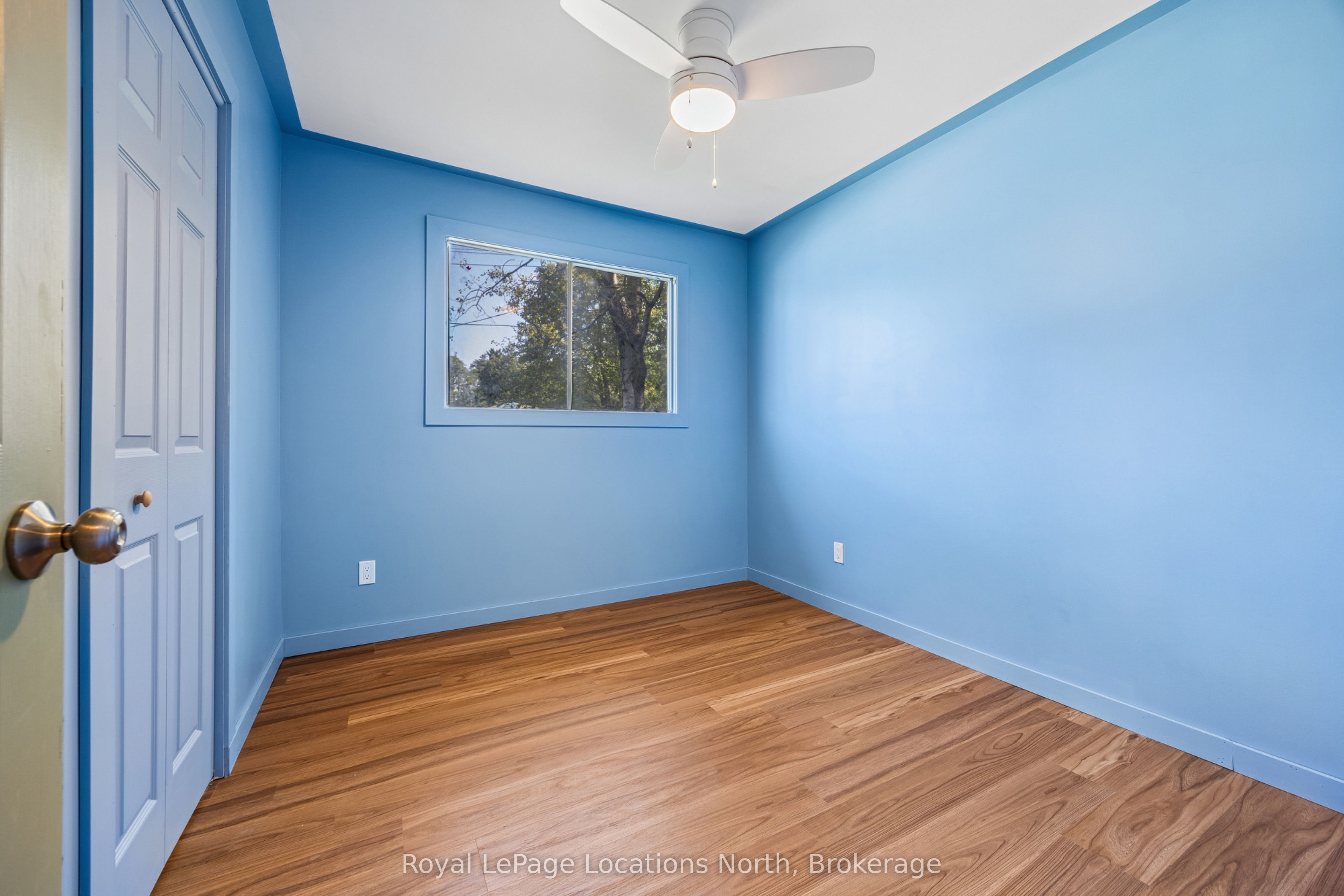 2 Mcdowell Street Property Photo 15