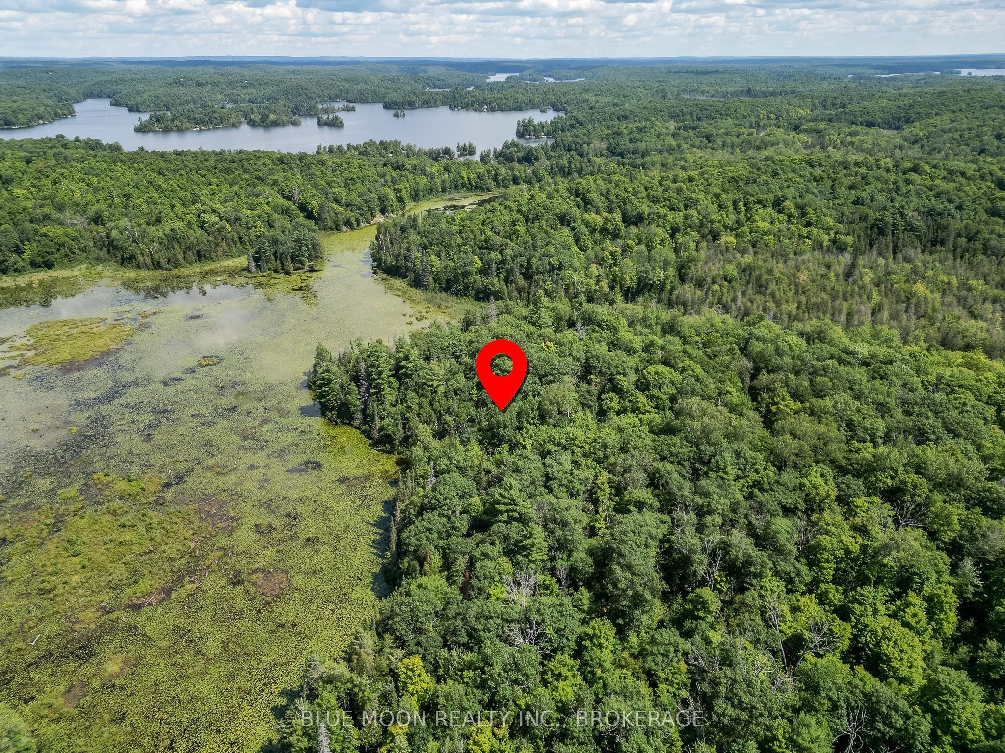 1531 Myers Cave Road Property Photo 6