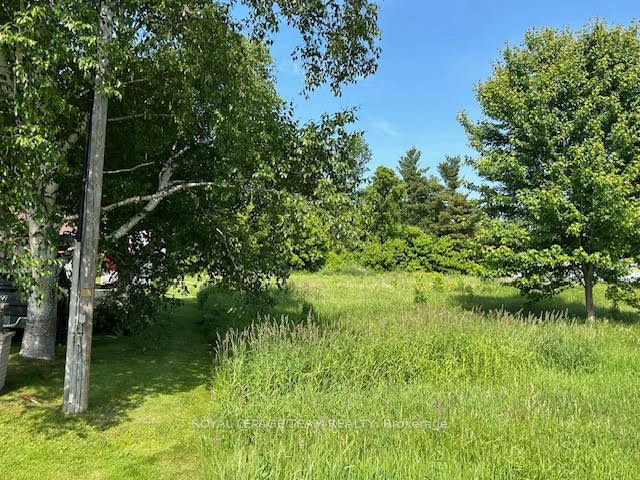 0 County Rd 12 Road Property Photo 5