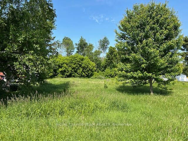 0 County Rd 12 Road Property Photo 6