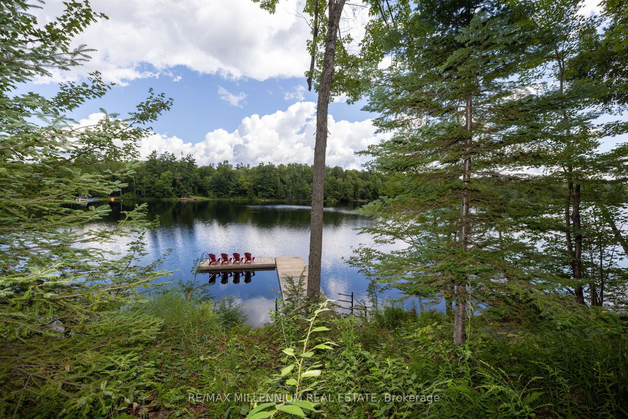 29 Yellow Birch Road Property Photo 41