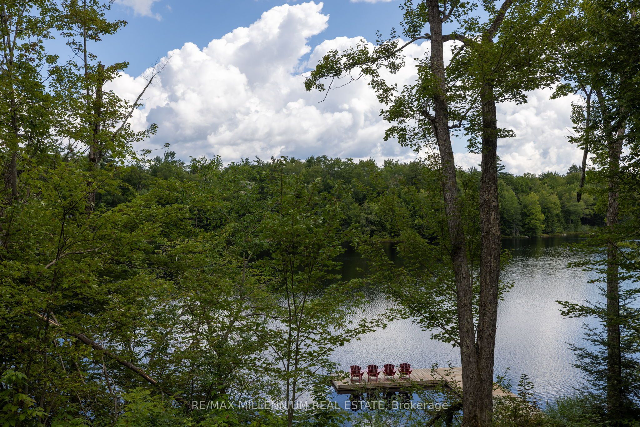 29 Yellow Birch Road Property Photo 42