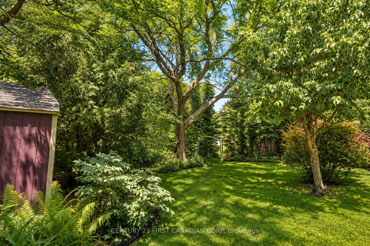 34 Speight Court Property Photo 4