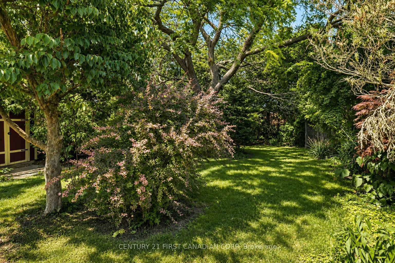 34 Speight Court Property Photo 5