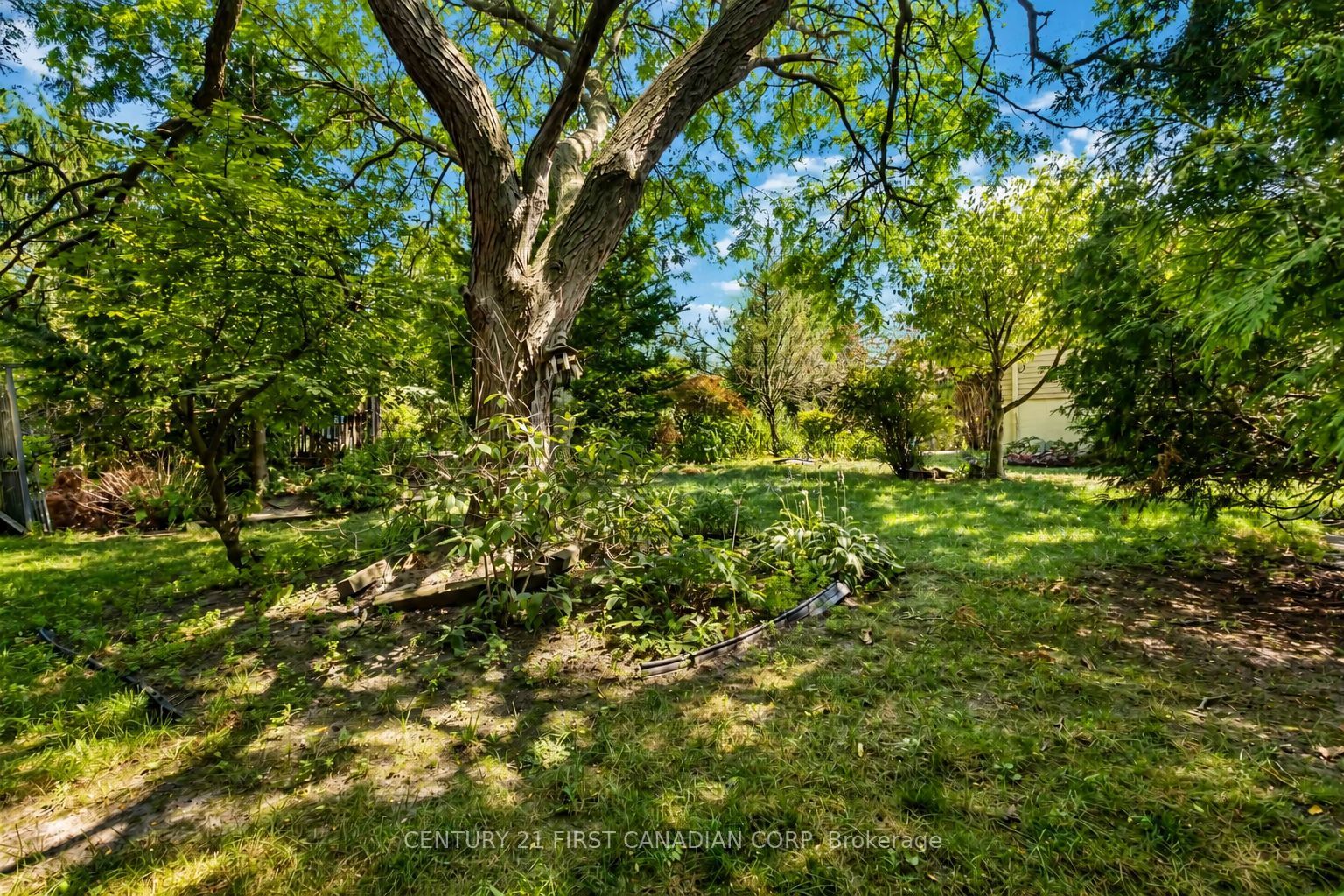 34 Speight Court Property Photo 6