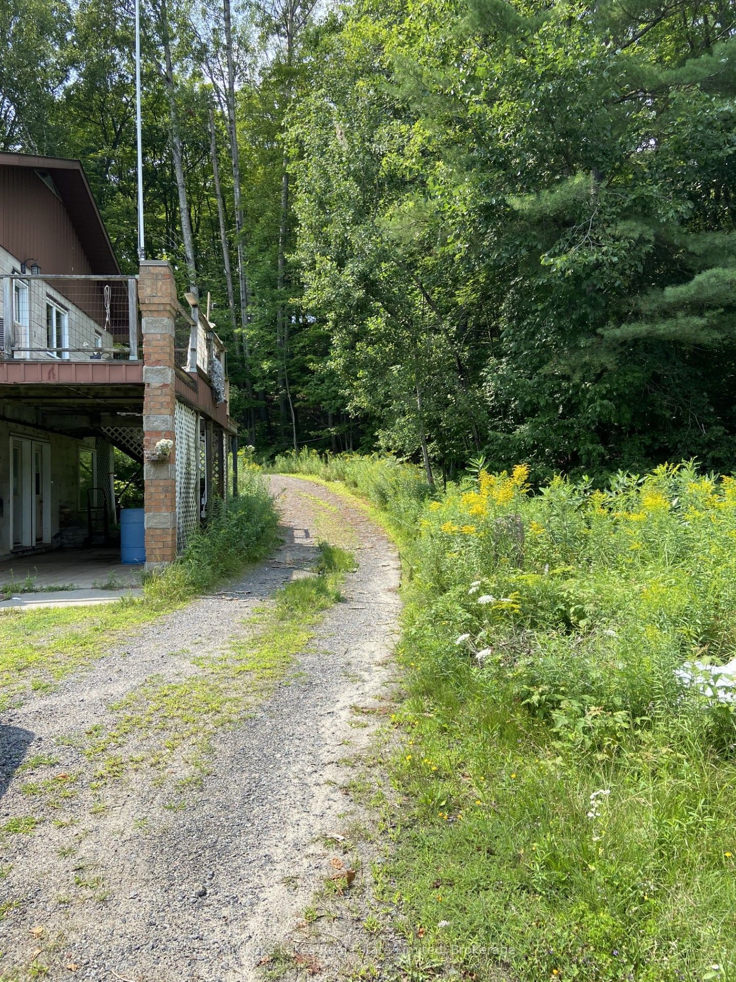 21 Ferndale Road Property Photo 10