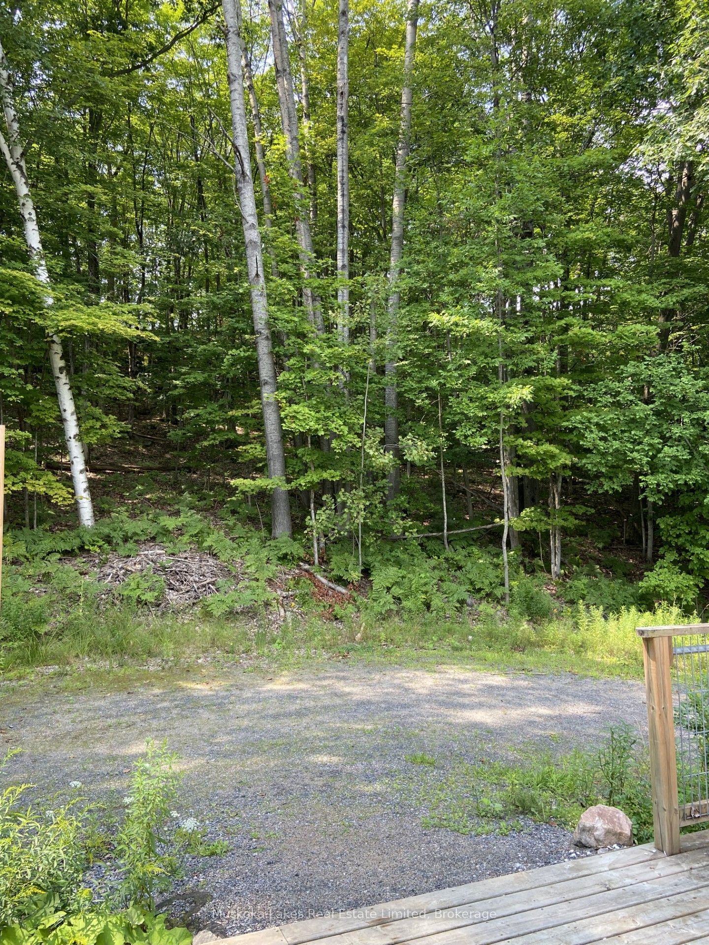 21 Ferndale Road Property Photo 13