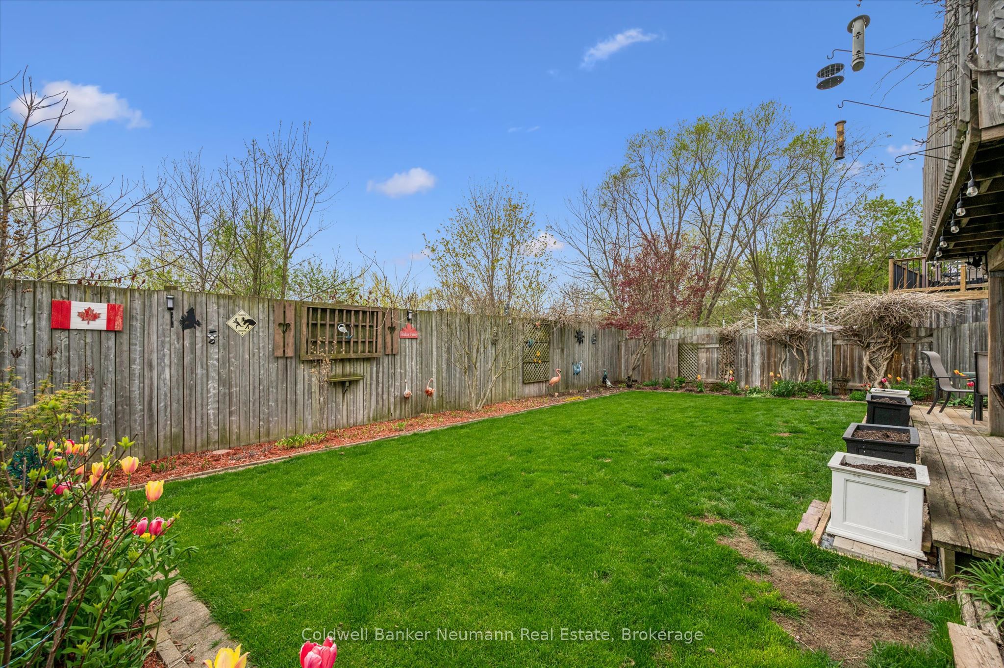 67 Cedarvale Avenue Property Photo 34