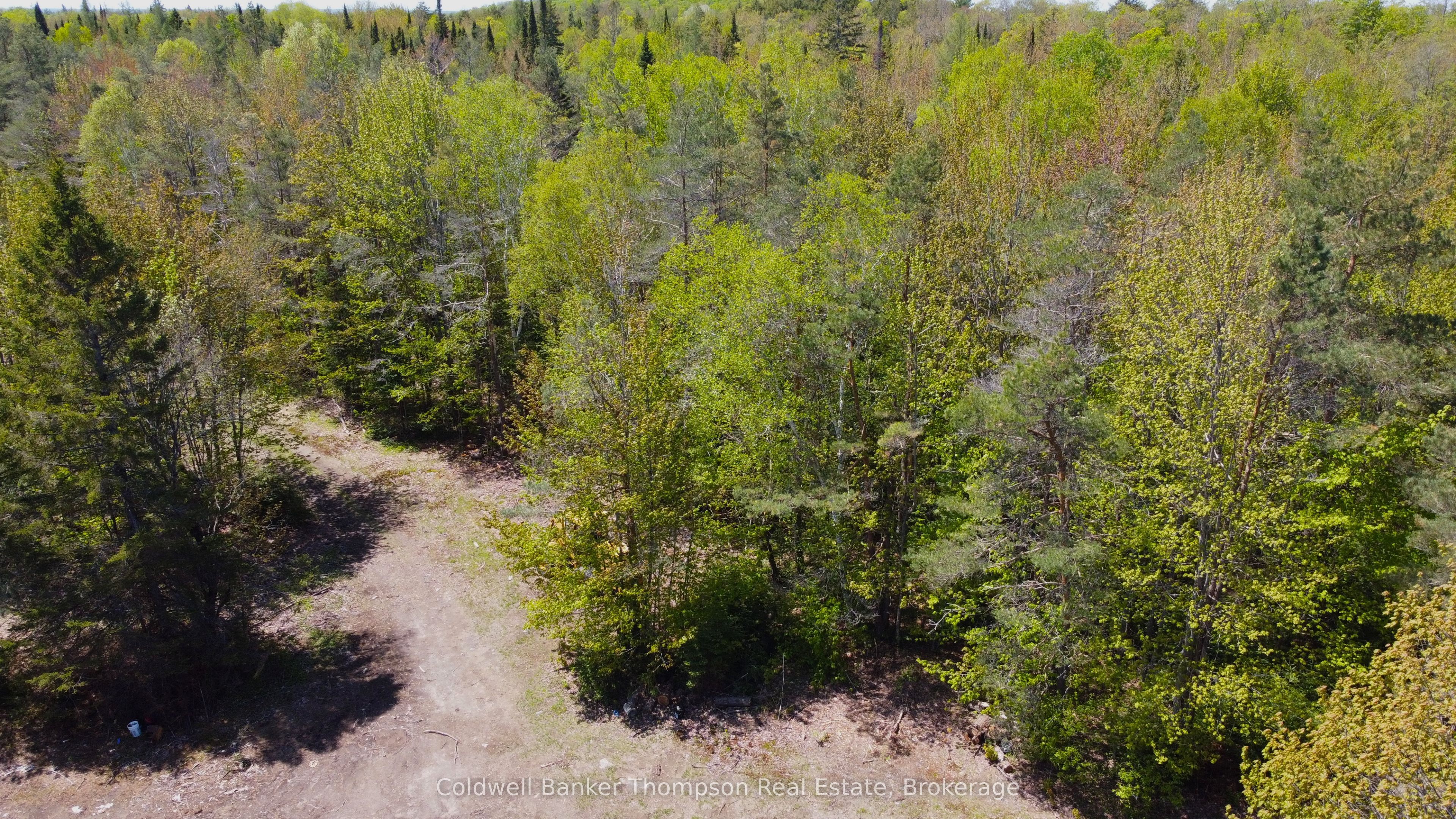 224 Madill Road Property Photo 6