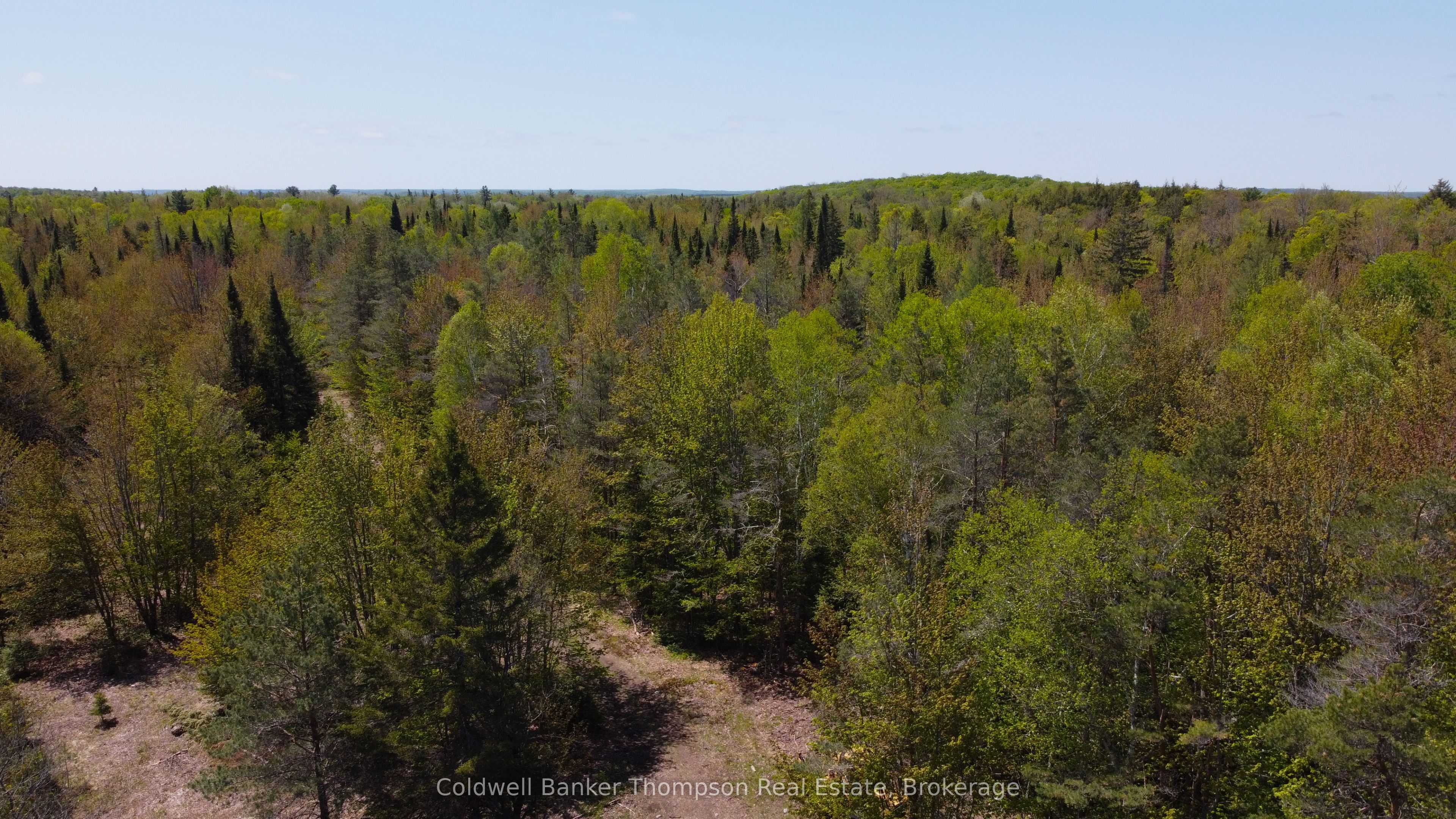 224 Madill Road Property Photo 7
