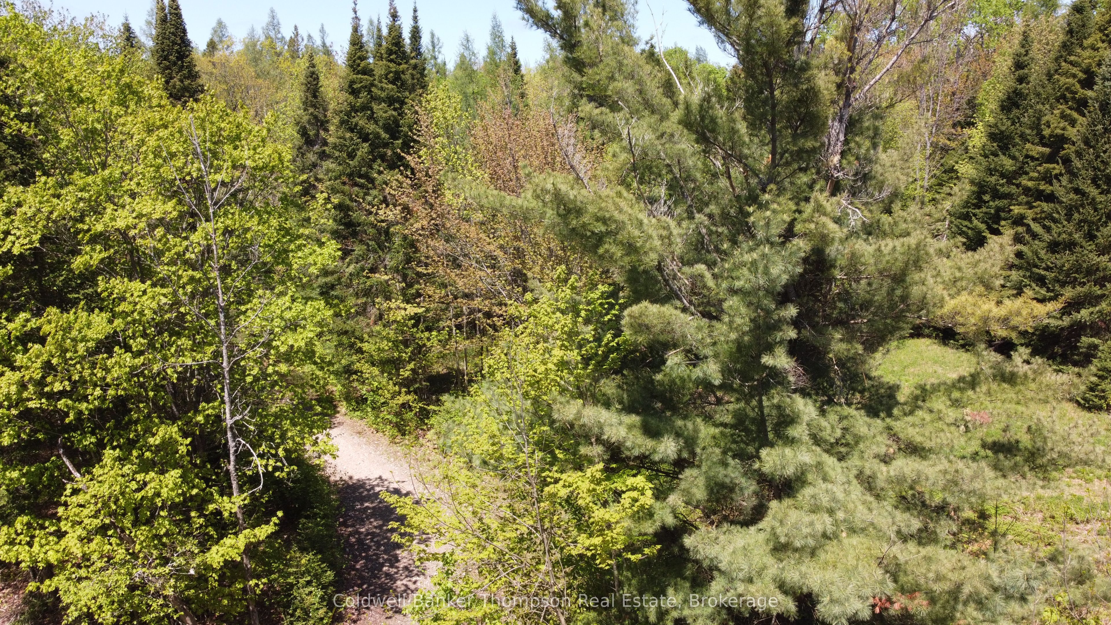 224 Madill Road Property Photo 15