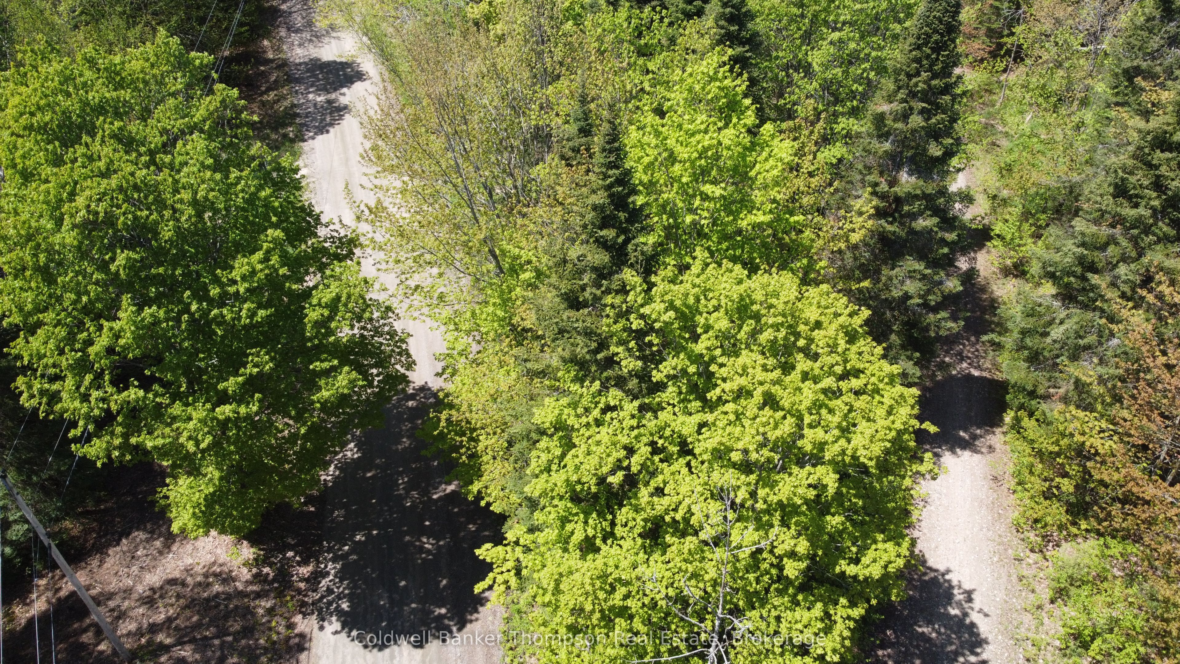 224 Madill Road Property Photo 17