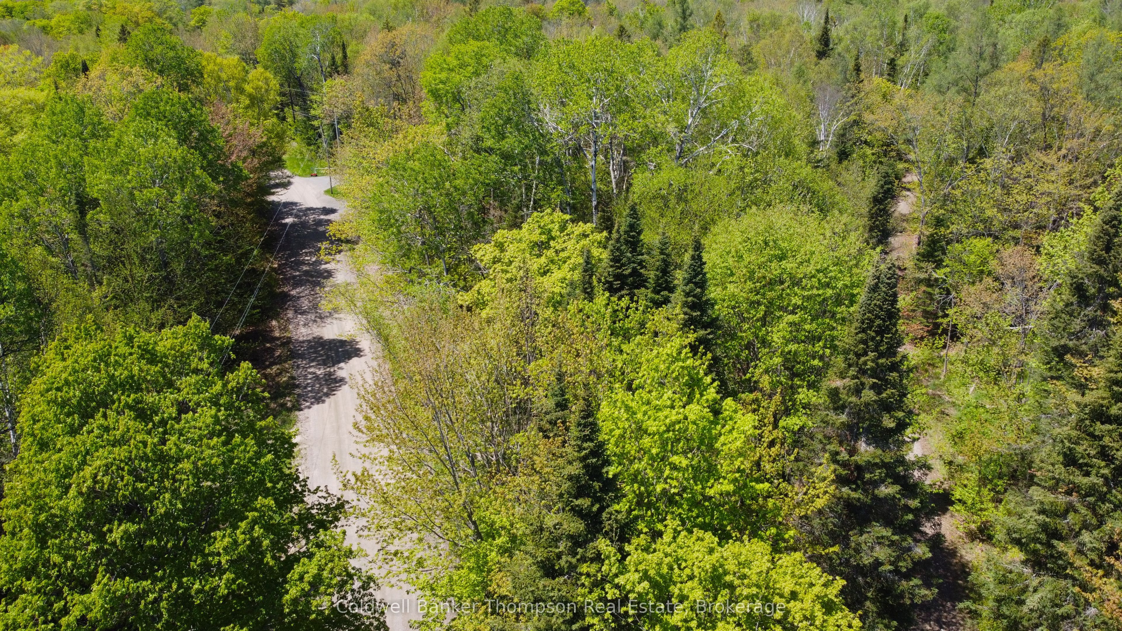 224 Madill Road Property Photo 18