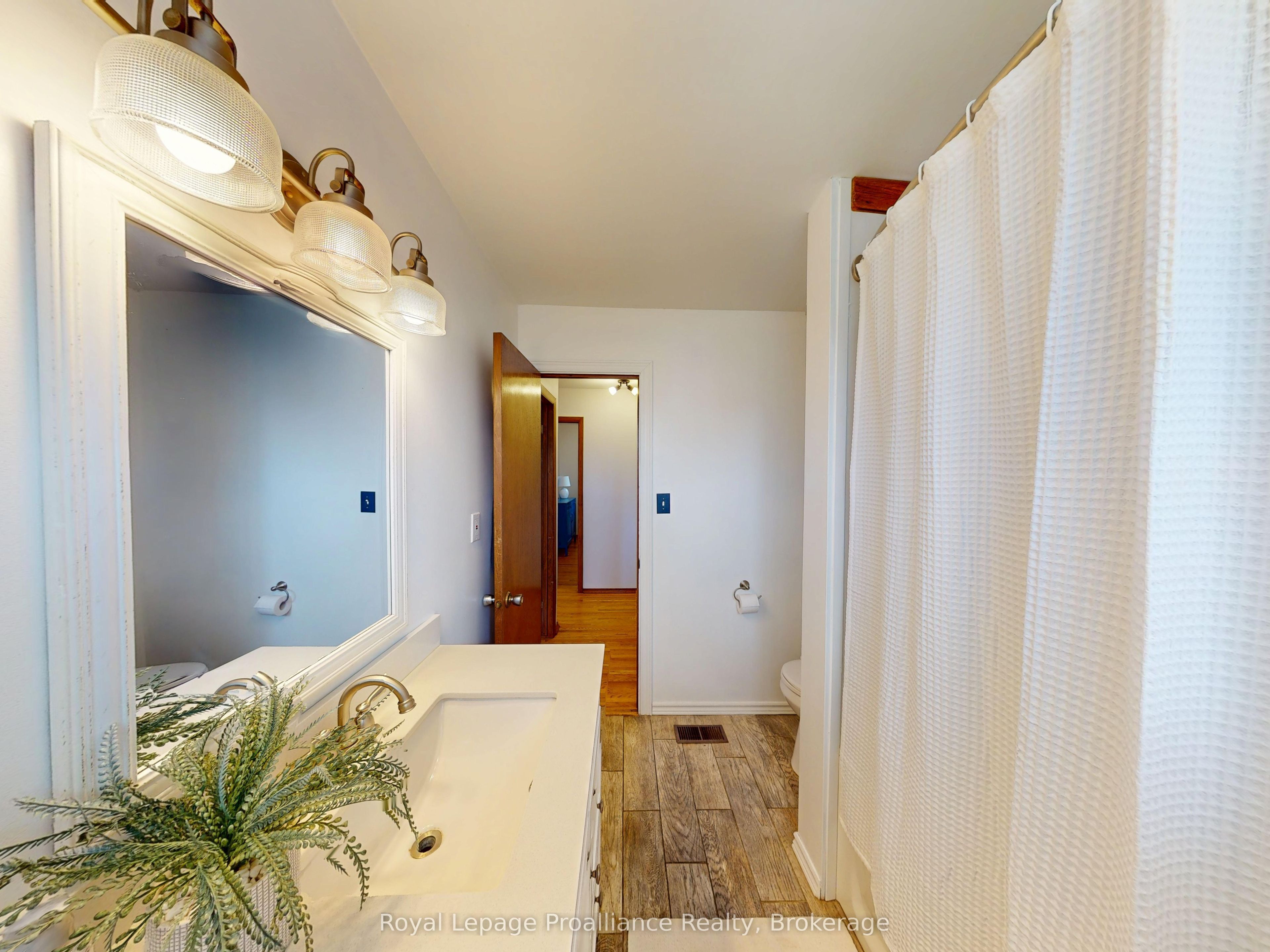 4 Richmond Grove Property Photo 19