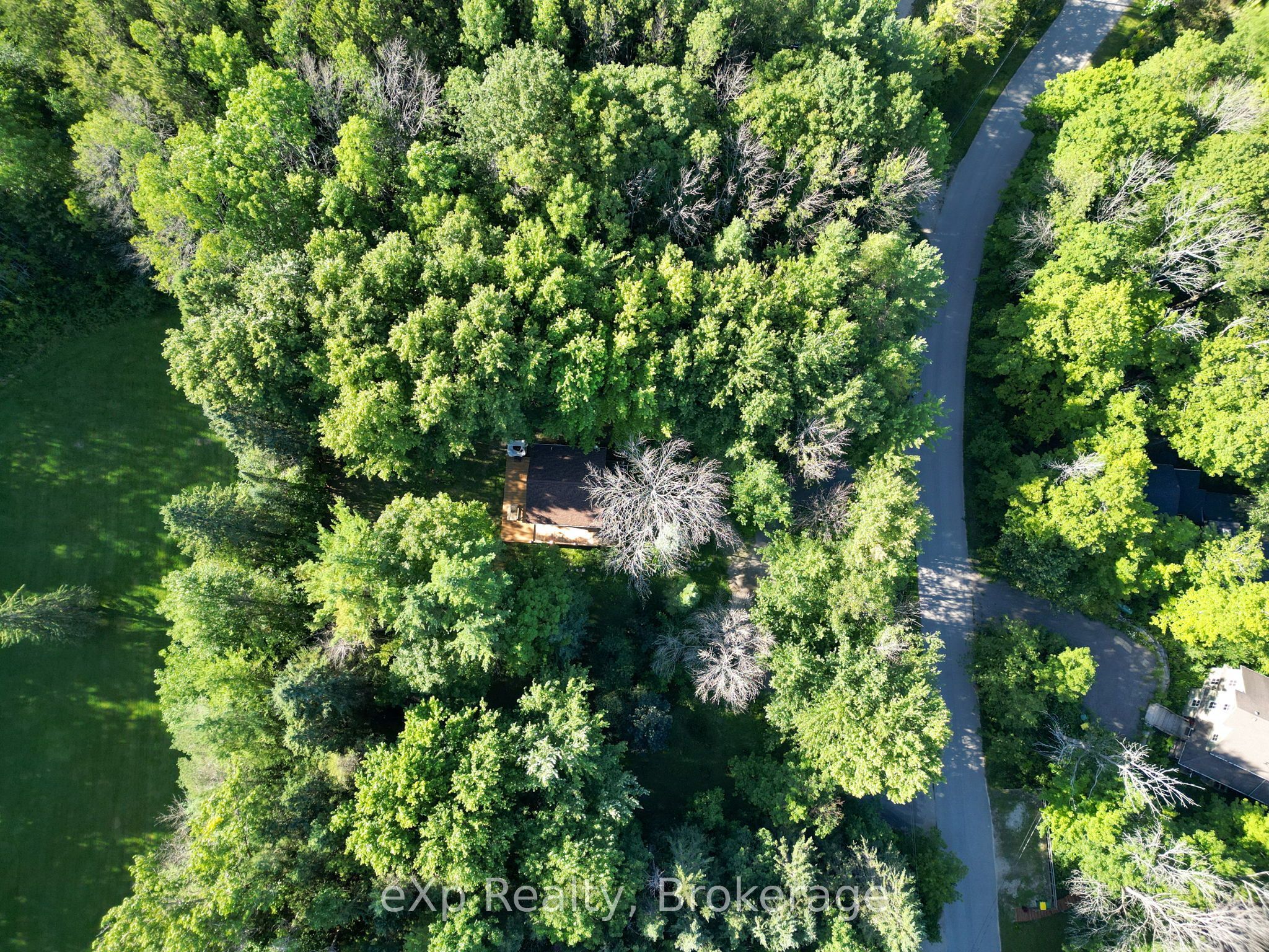 272 Bowles Bluff Road Property Photo 35