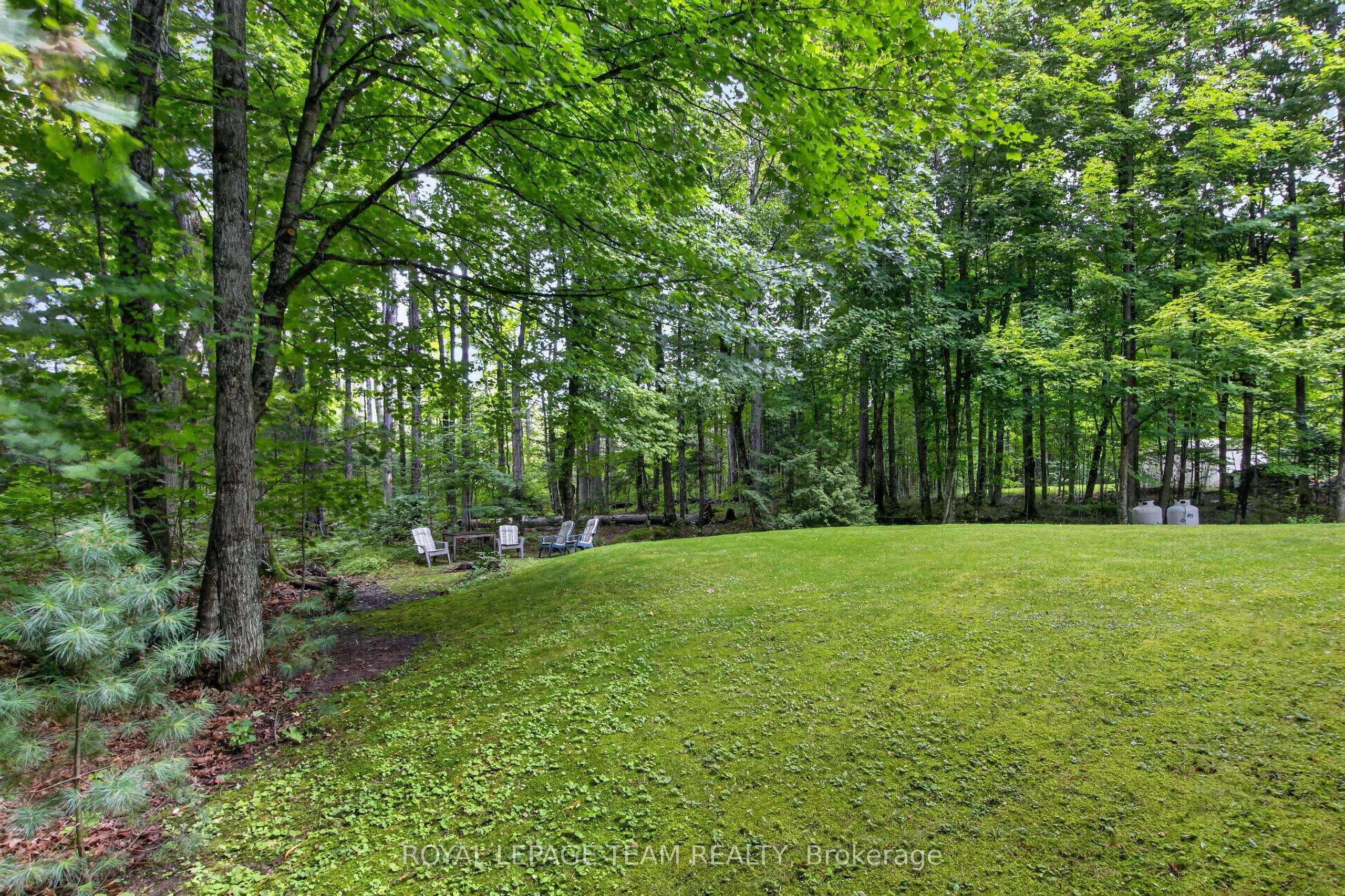 126 Mockingbird Lane Property Photo 44