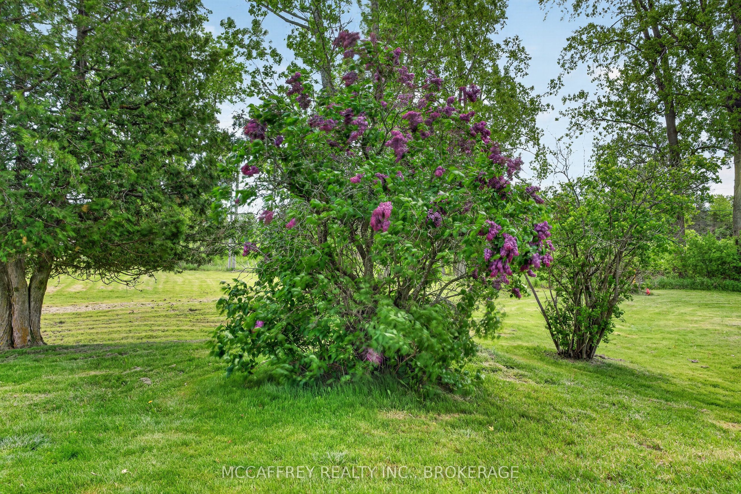 1549 Doyle Road Property Photo 38