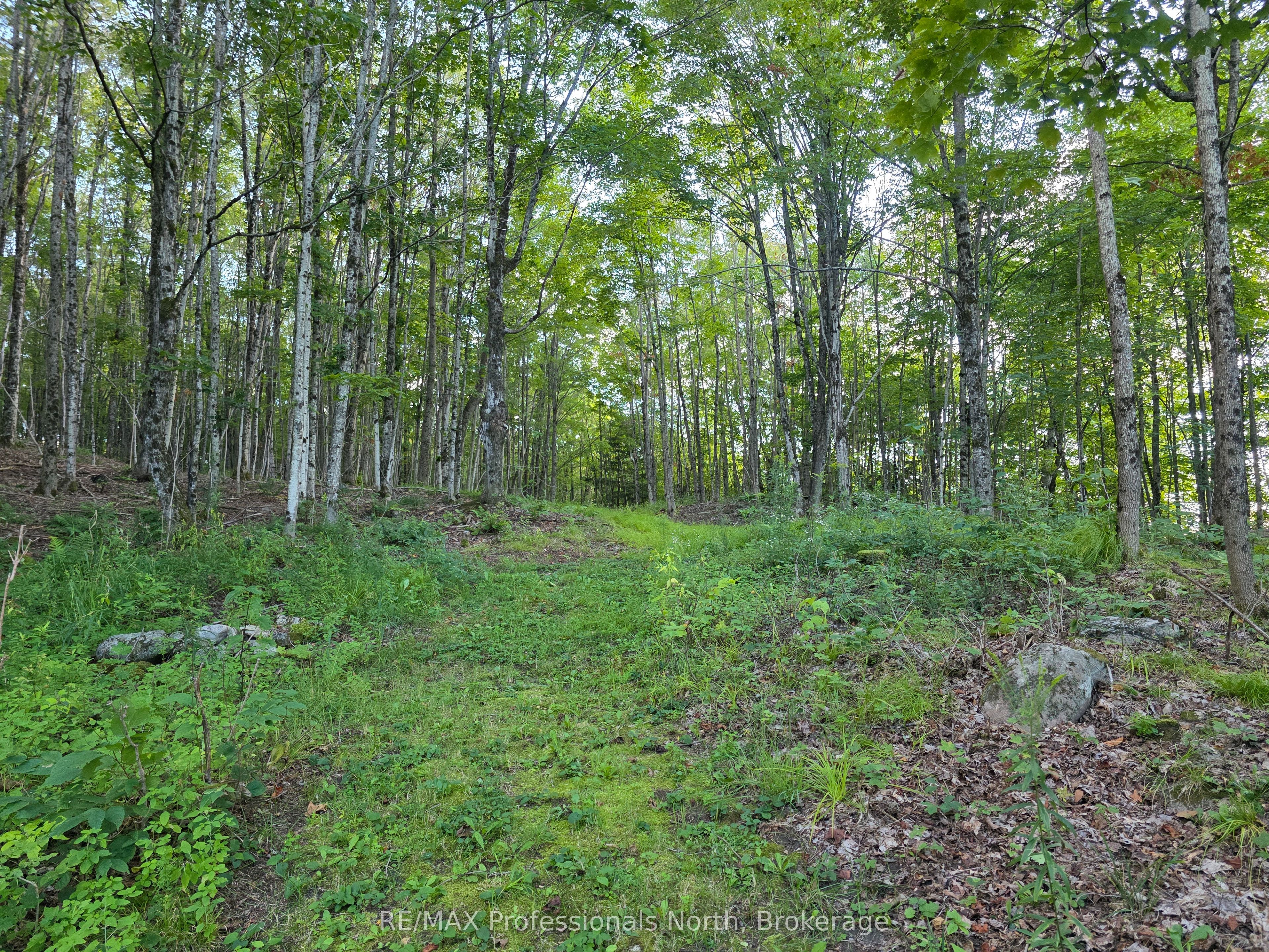 1026 Puffer Road Property Photo 1