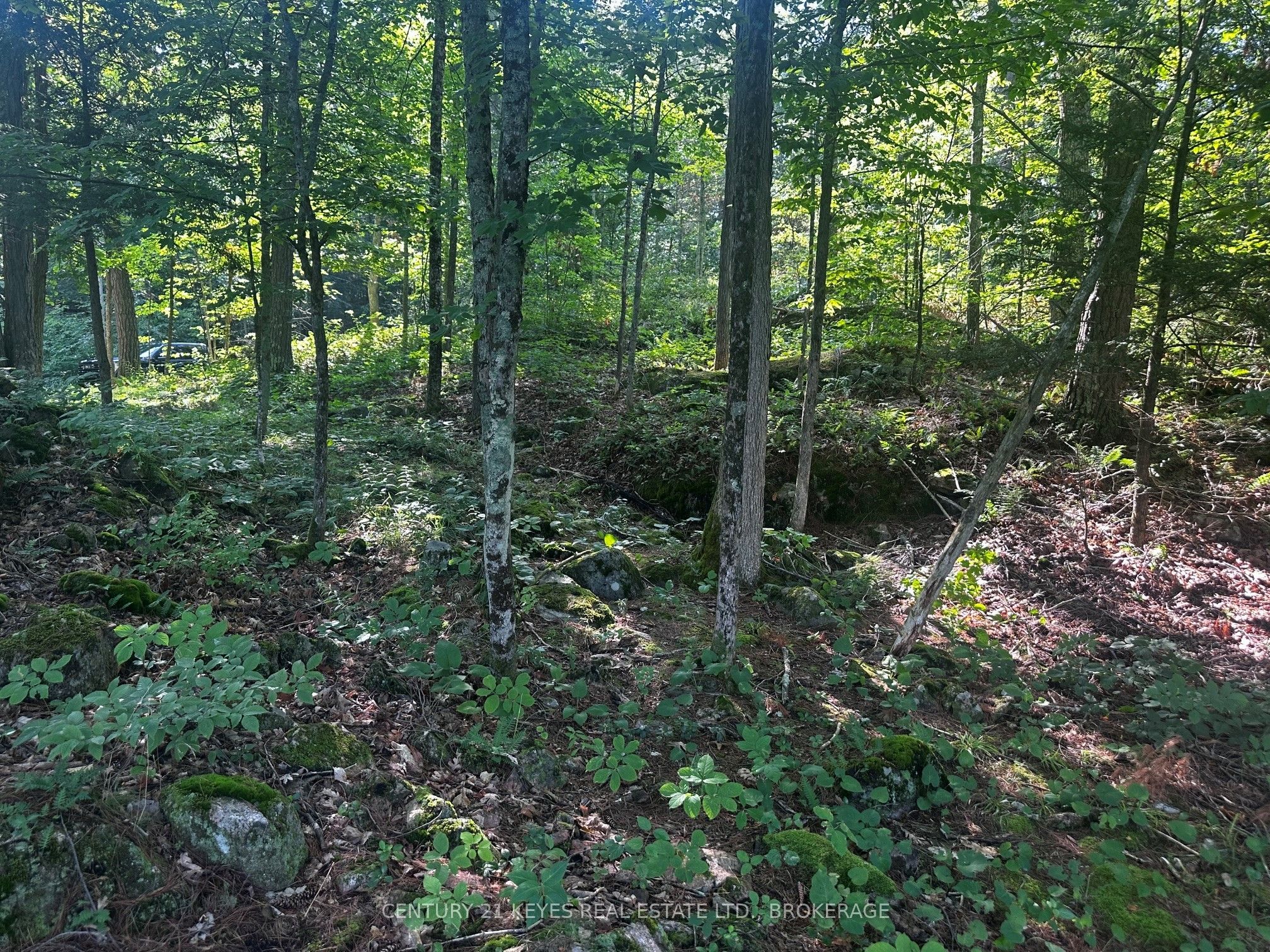 434 Moorhead Lane Property Photo 3