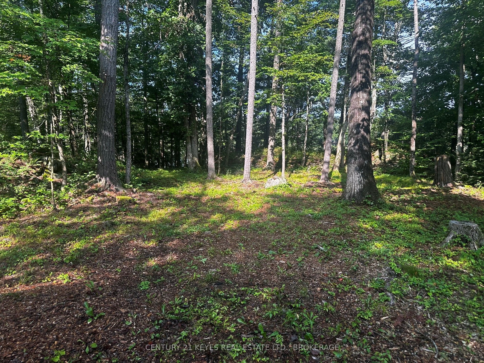 434 Moorhead Lane Property Photo 6
