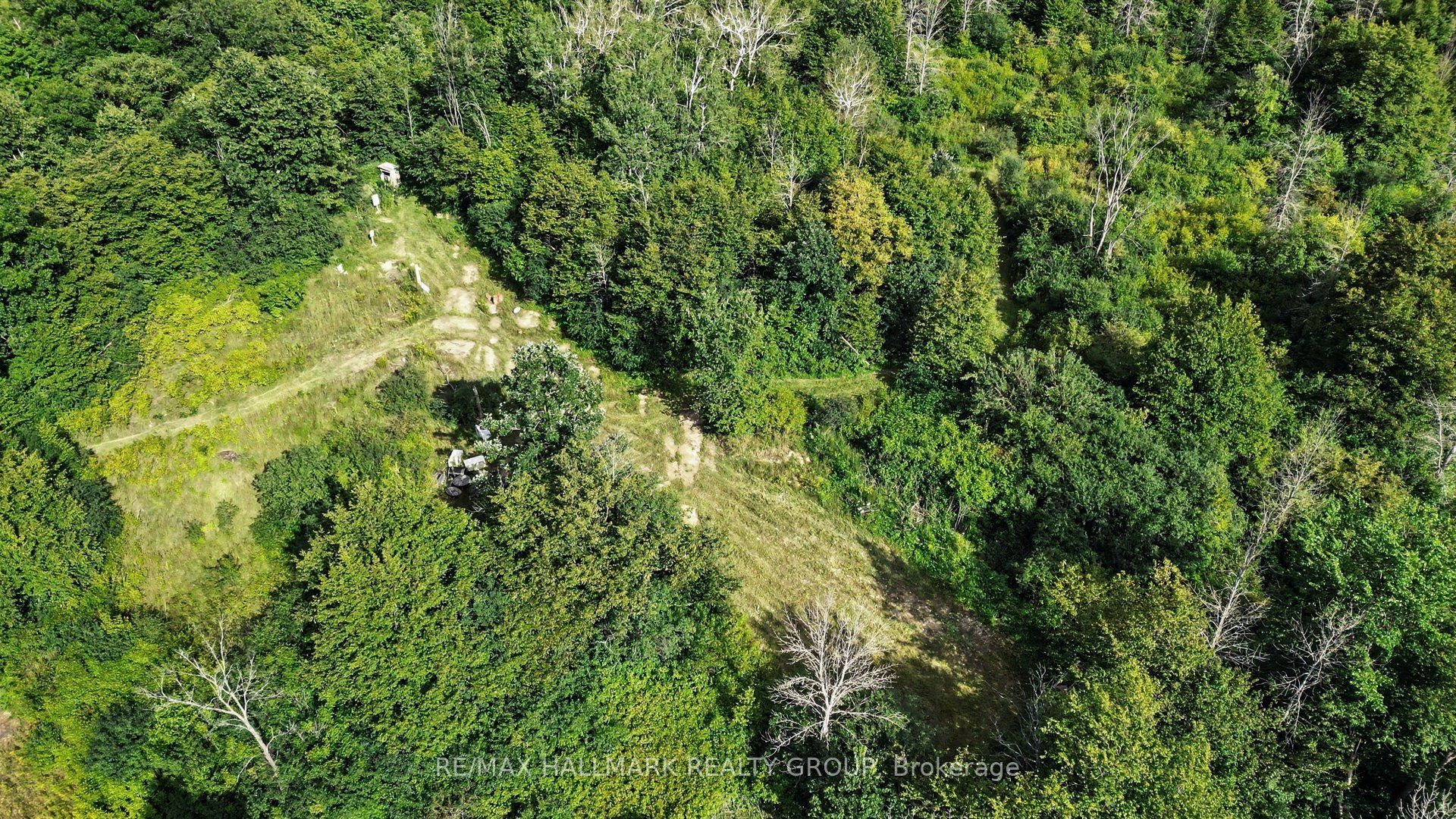 8784 15 Highway Property Photo 36