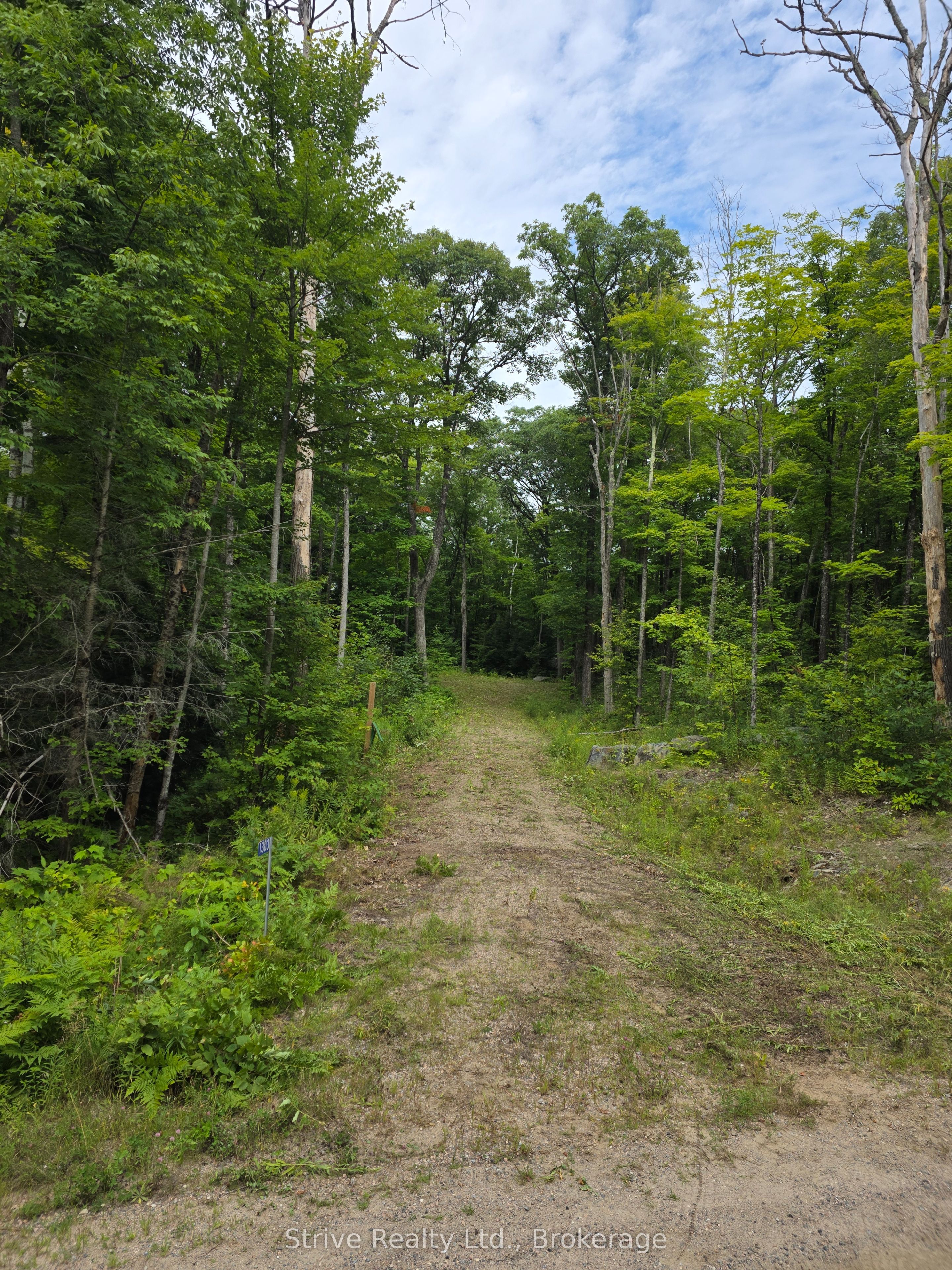 1303 Whites Road Property Photo 1
